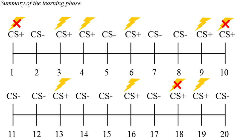 Schizotypal Personality Traits And The Social Learning Of Fear Scientific Reports Schizotypal Personality Traits And The Social Learning Of Fear Scientific Reports