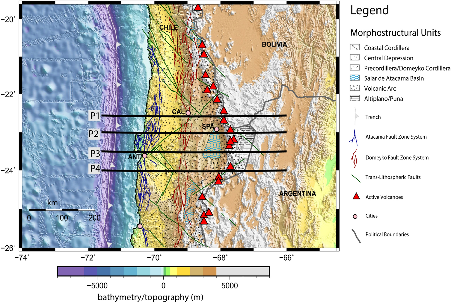 Lithospheric density structure of the southern Central Andes