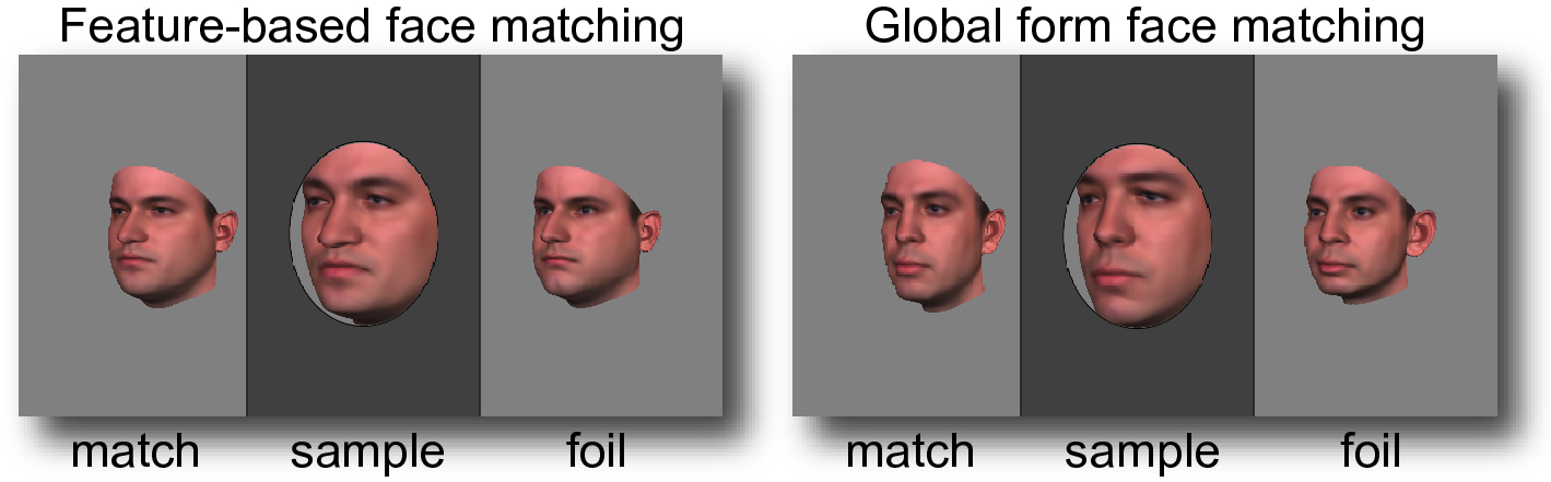 Faces and words are both associated and dissociated as evidenced by visual  problems in dyslexia | Scientific Reports