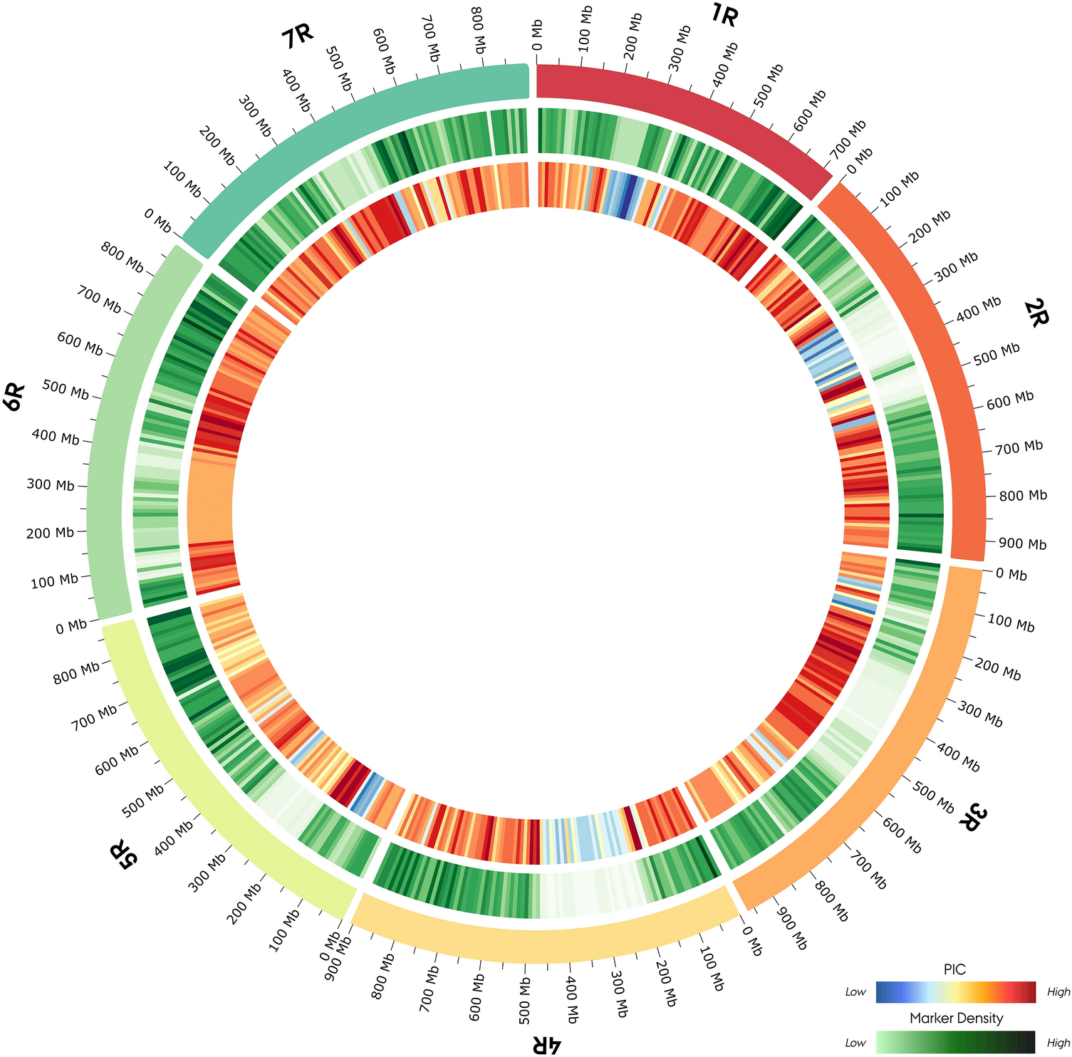 Discovery Of A Novel Powdery Mildew Blumeria Graminis Resistance Locus In Rye Secale Cereale L Scientific Reports Discovery Of A Novel Powdery Mildew Blumeria Graminis Resistance Locus In Rye Secale Cereale L Scientific Reports
