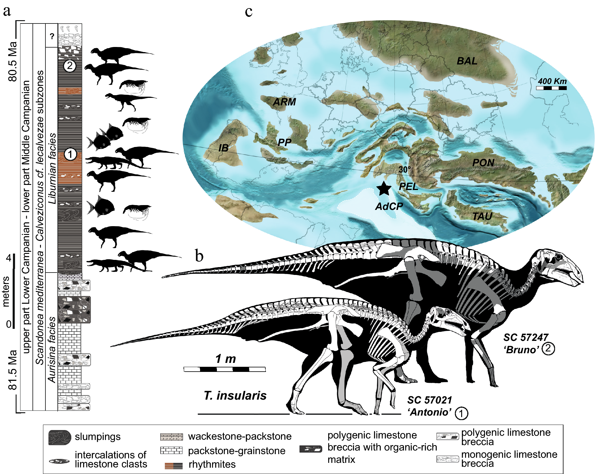 Dinosaur-43.j…