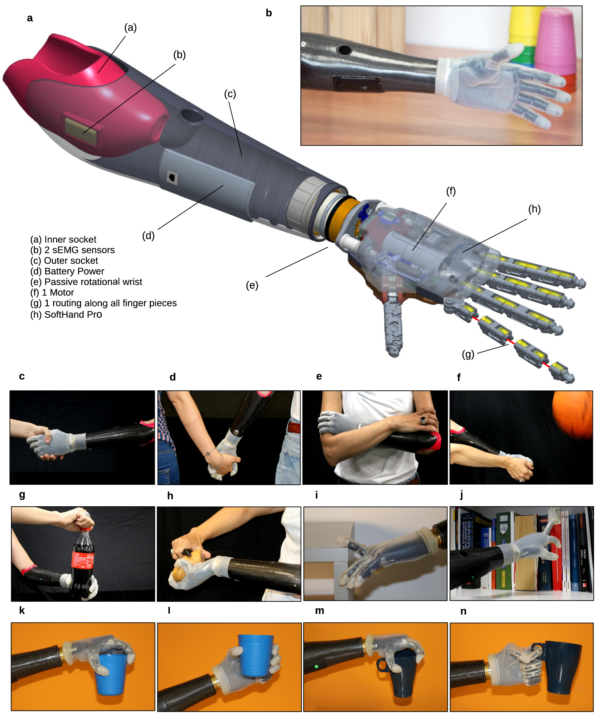 Comparison between rigid and soft poly-articulated prosthetic hands in  non-expert myo-electric users shows advantages of soft robotics |  Scientific Reports