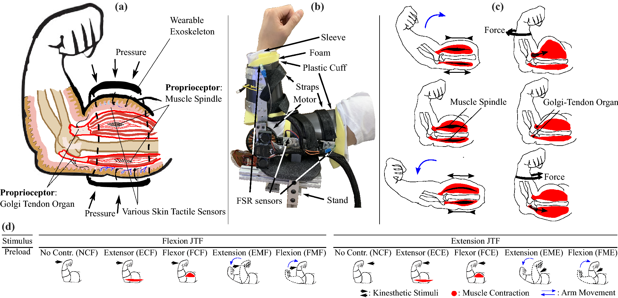Just noticeable differences for elbow joint torque feedback | Scientific  Reports