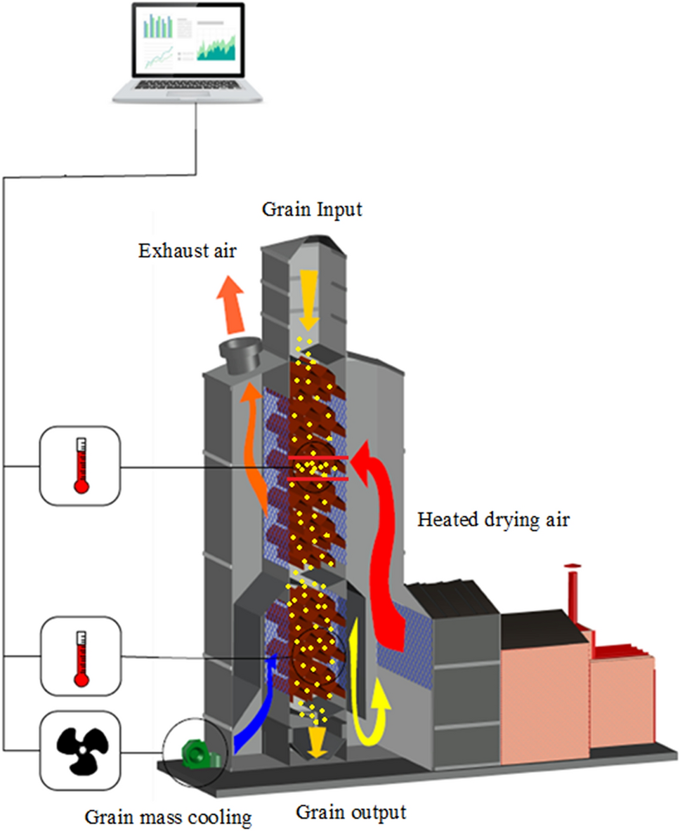 Real‐time equilibrium moisture content monitoring to predict grain