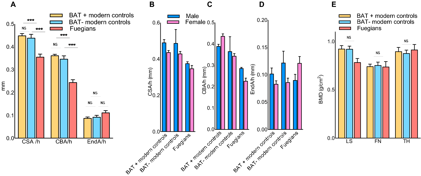 Bone density and genomic analysis unfold cold adaptation mechanisms of  ancient inhabitants of Tierra del Fuego