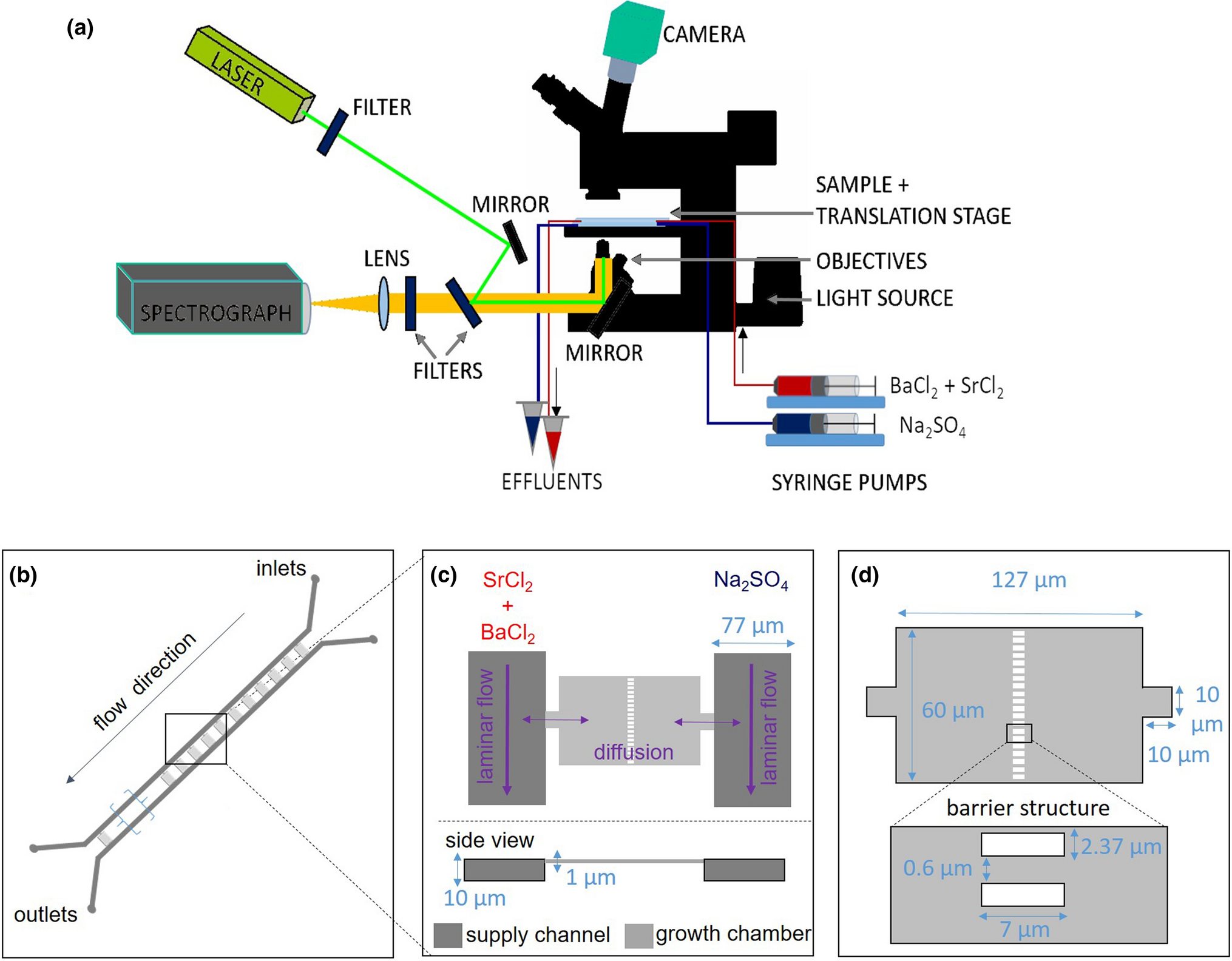 Experimental and numerical investigation of polymer pore-clogging in  micromodels