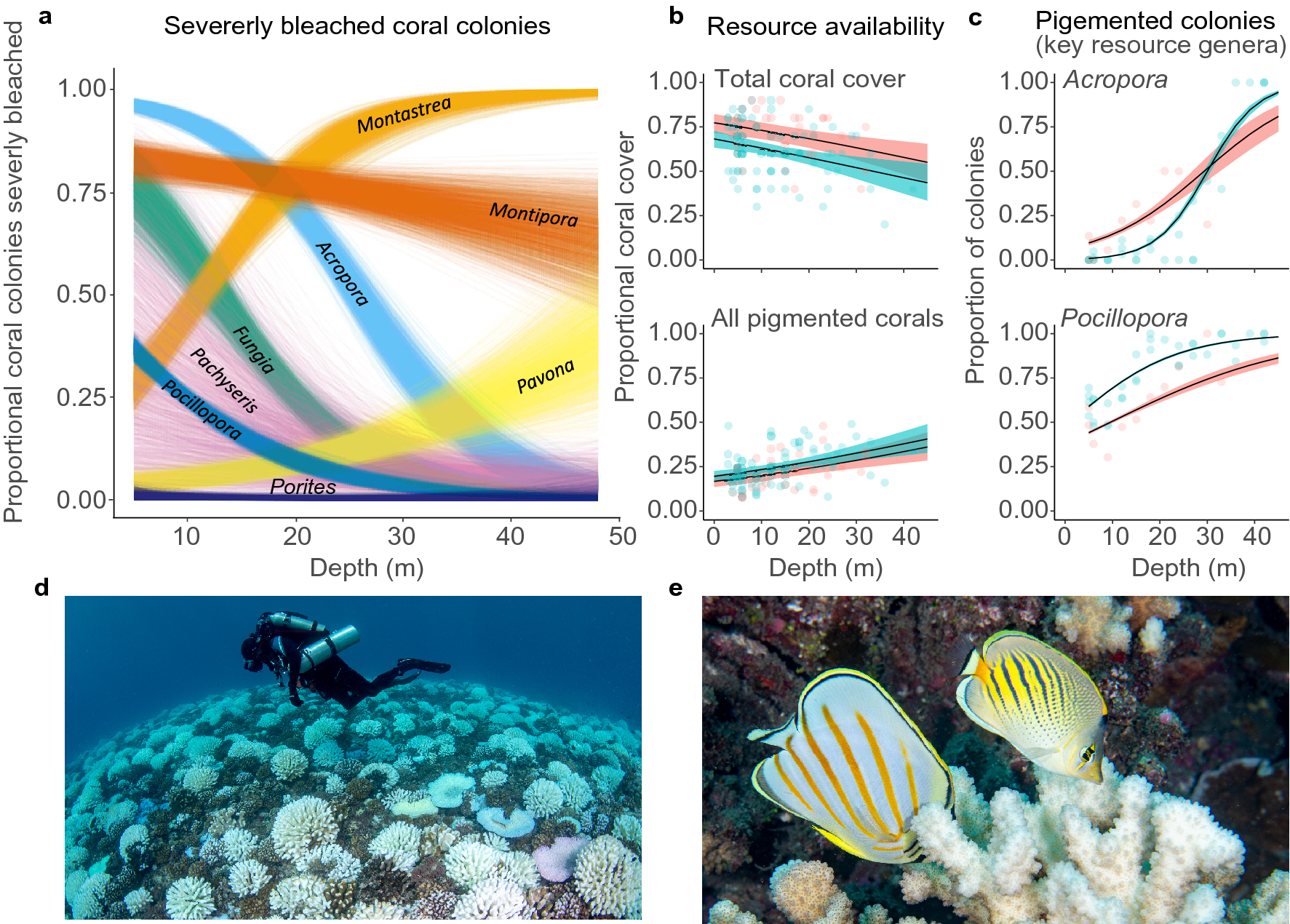 PDF) Latitudinal patterns in trophic structure of temperate reef