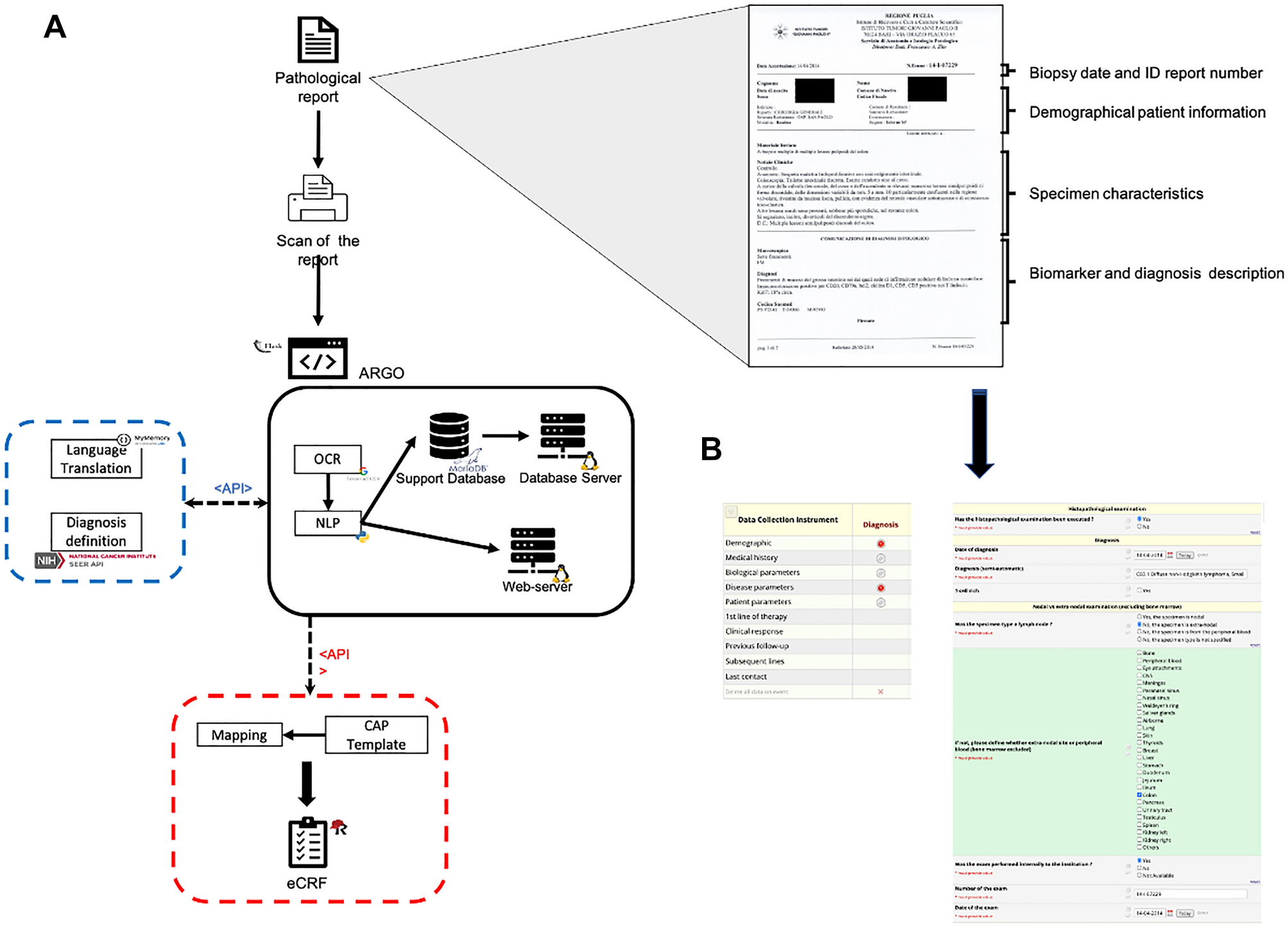 Electronic case report forms generation from pathology reports by ARGO,  automatic record generator for onco-hematology | Scientific Reports