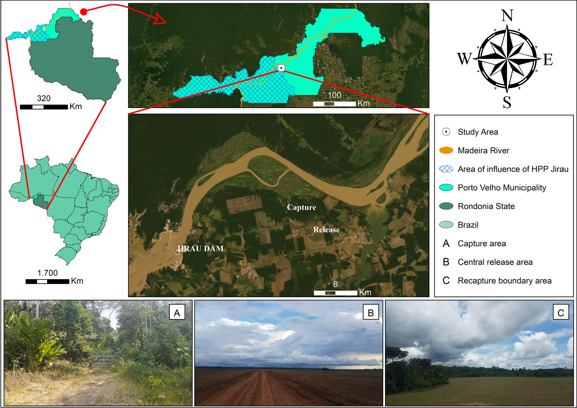 Dispersion pattern of Mansonia in the surroundings of the Amazon Jirau  Hydroelectric Power Plant | Scientific Reports