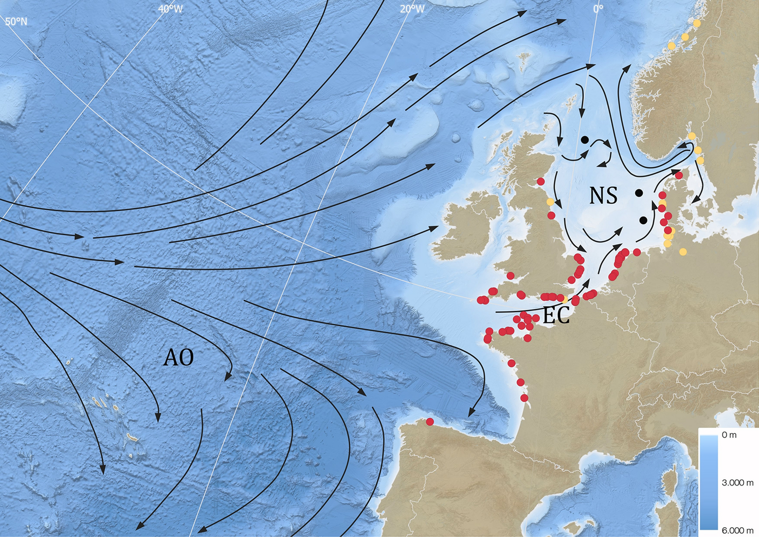 season of migration to the north analysis