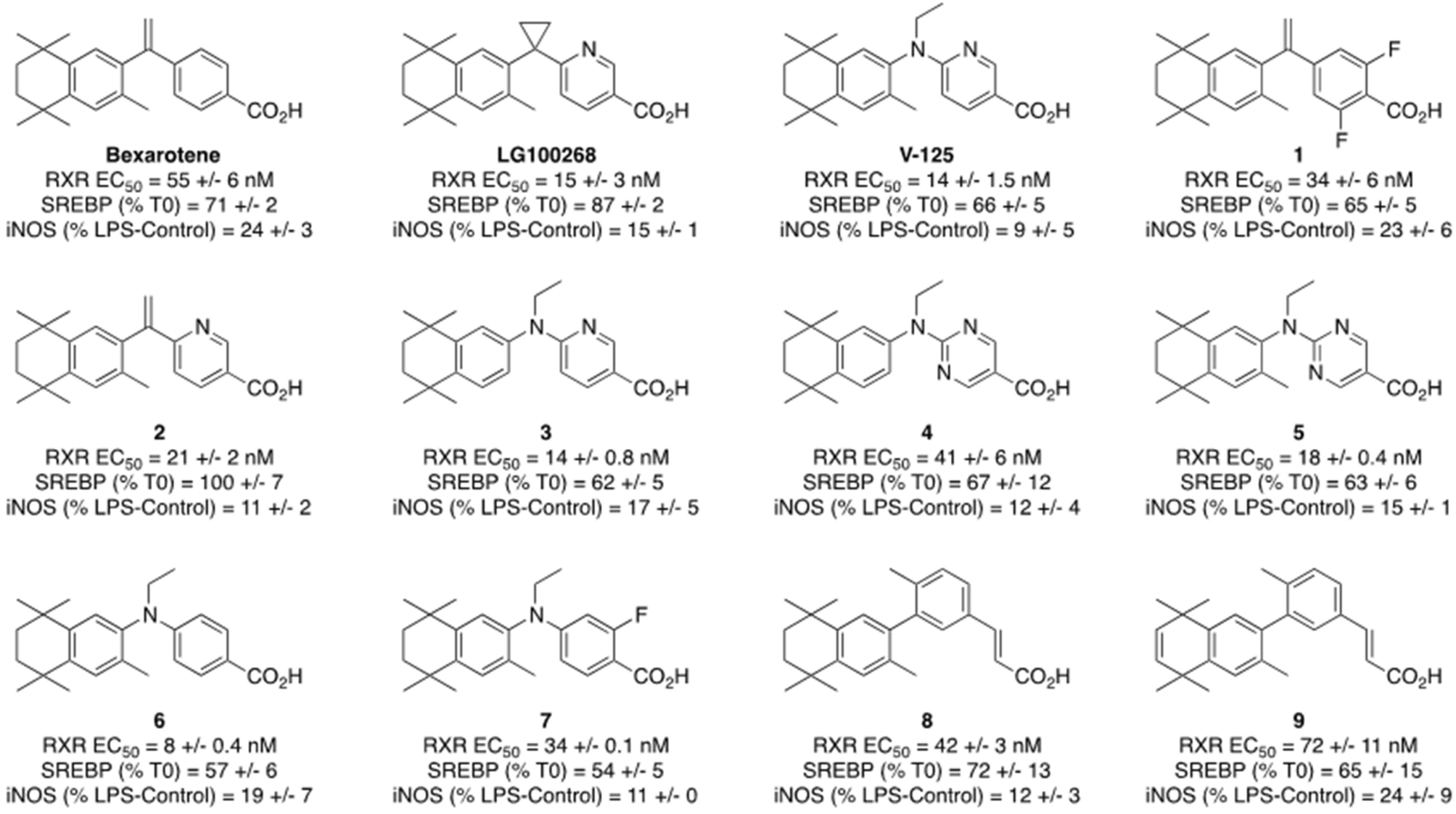 The rexinoid V-125 reduces tumor growth in preclinical models of breast and  lung cancer