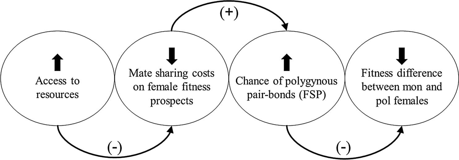 High frequency of social polygyny reveals little costs for females in a songbird | Scientific Reports High frequency of social polygyny reveals little costs for females in a songbird | Scientific Reports