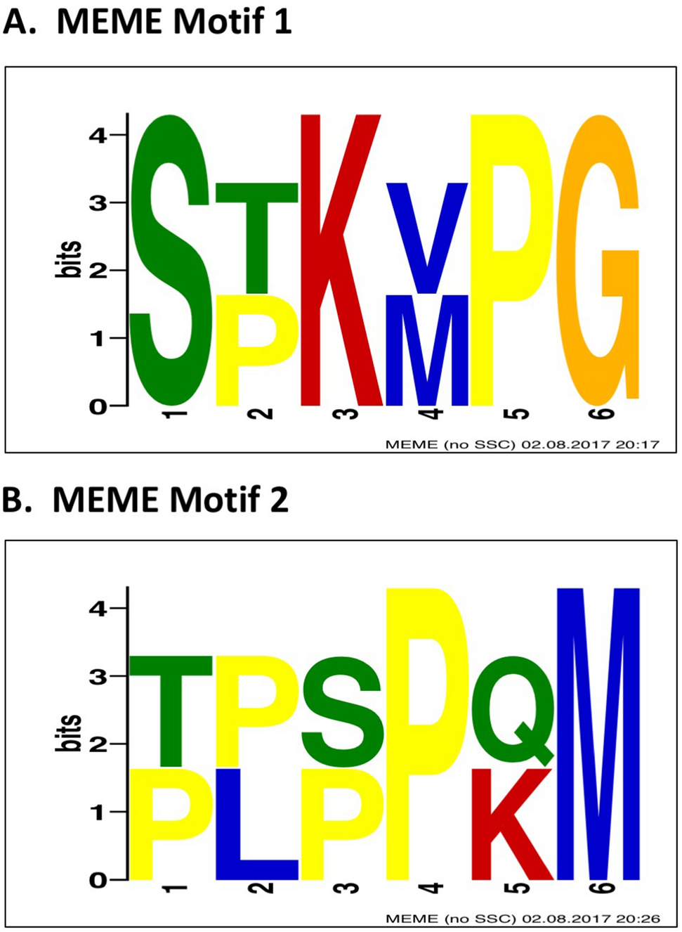 A transcytotic transport mechanism across the tympanic membrane |  Scientific Reports
