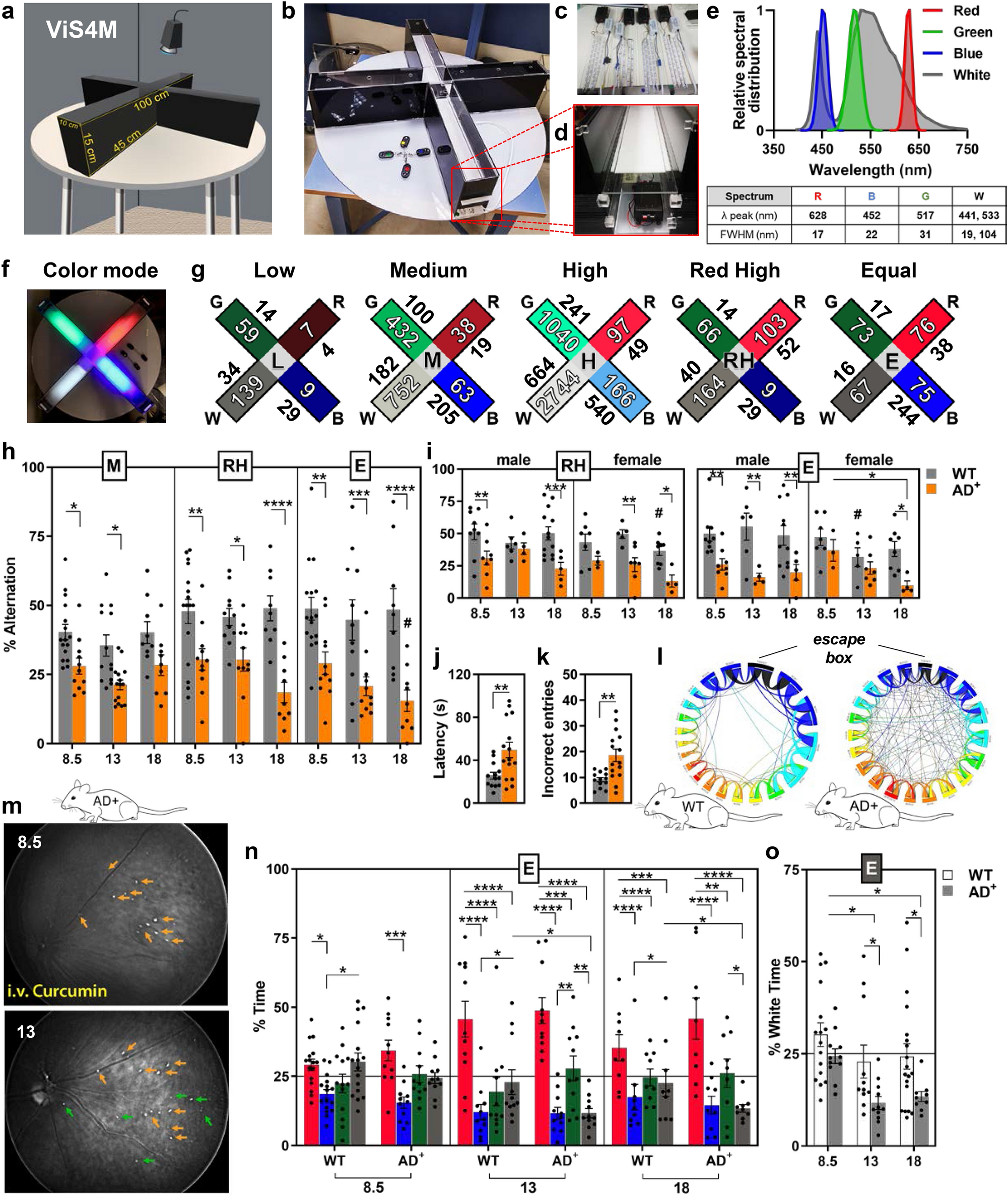 Search strategy analysis of Tg4-42 Alzheimer Mice in the Morris