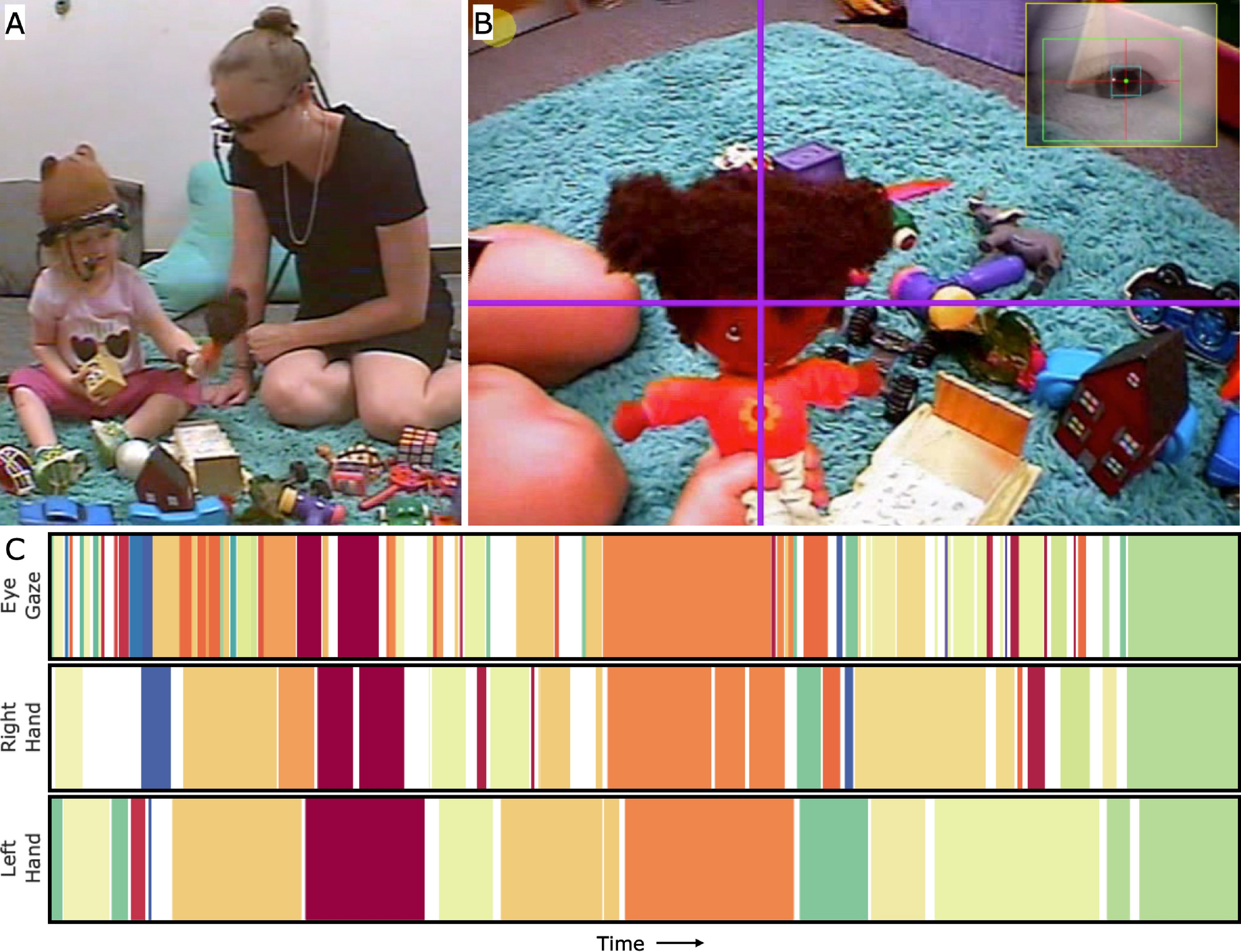 Using head-mounted eye tracking to examine visual and manual exploration  during naturalistic toy play in children with and without autism spectrum  disorder | Scientific Reports