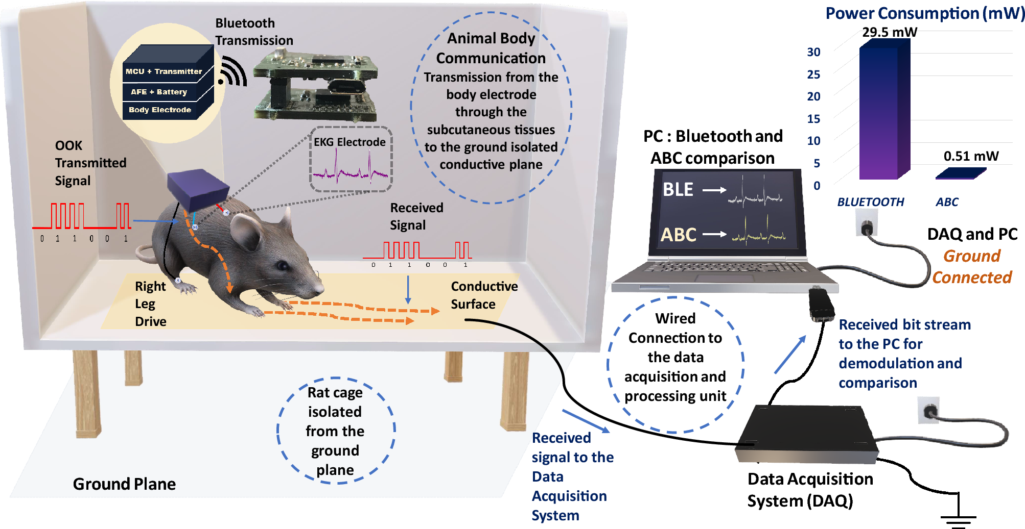 Electro-Quasistatic Animal Body Communication for Untethered Rodent  Biopotential Recording | Scientific Reports