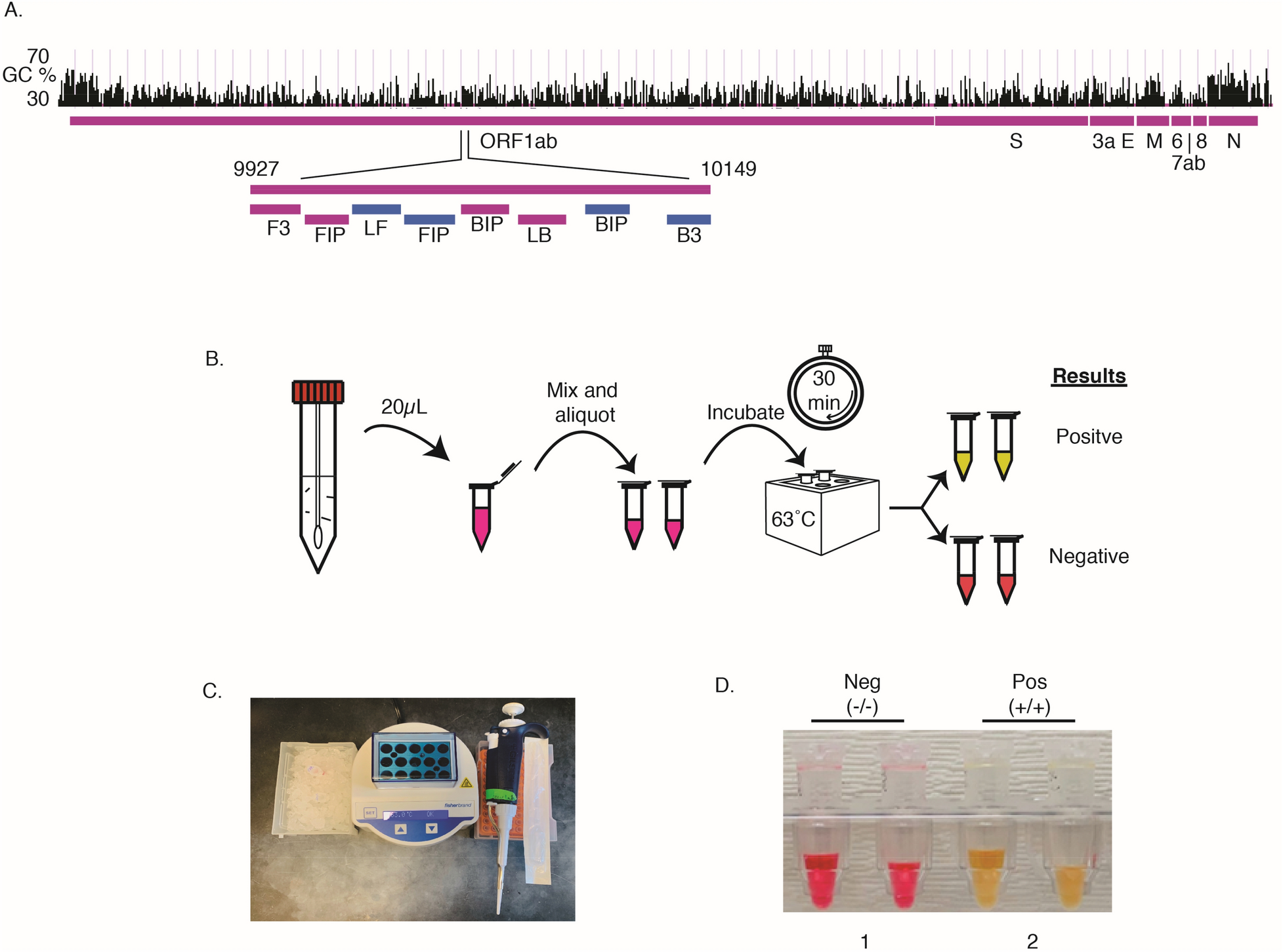 Direct diagnostic testing of SARS-CoV-2 without the need for prior RNA  extraction | Scientific Reports