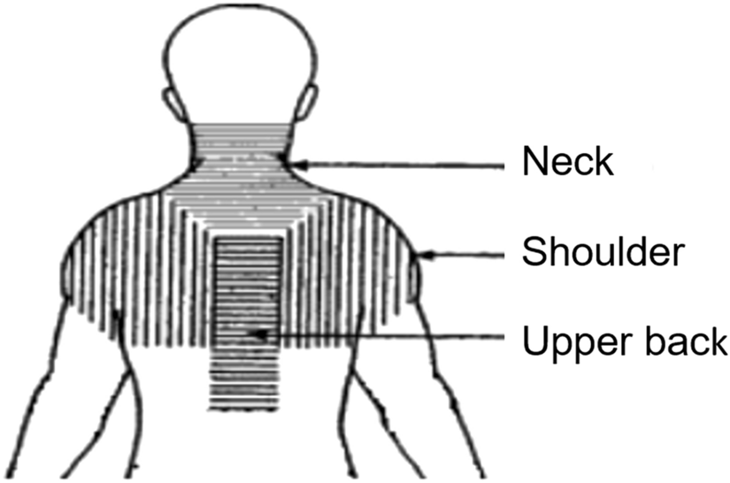 Anna's Review of DR-HO'S Neck Pain Pro