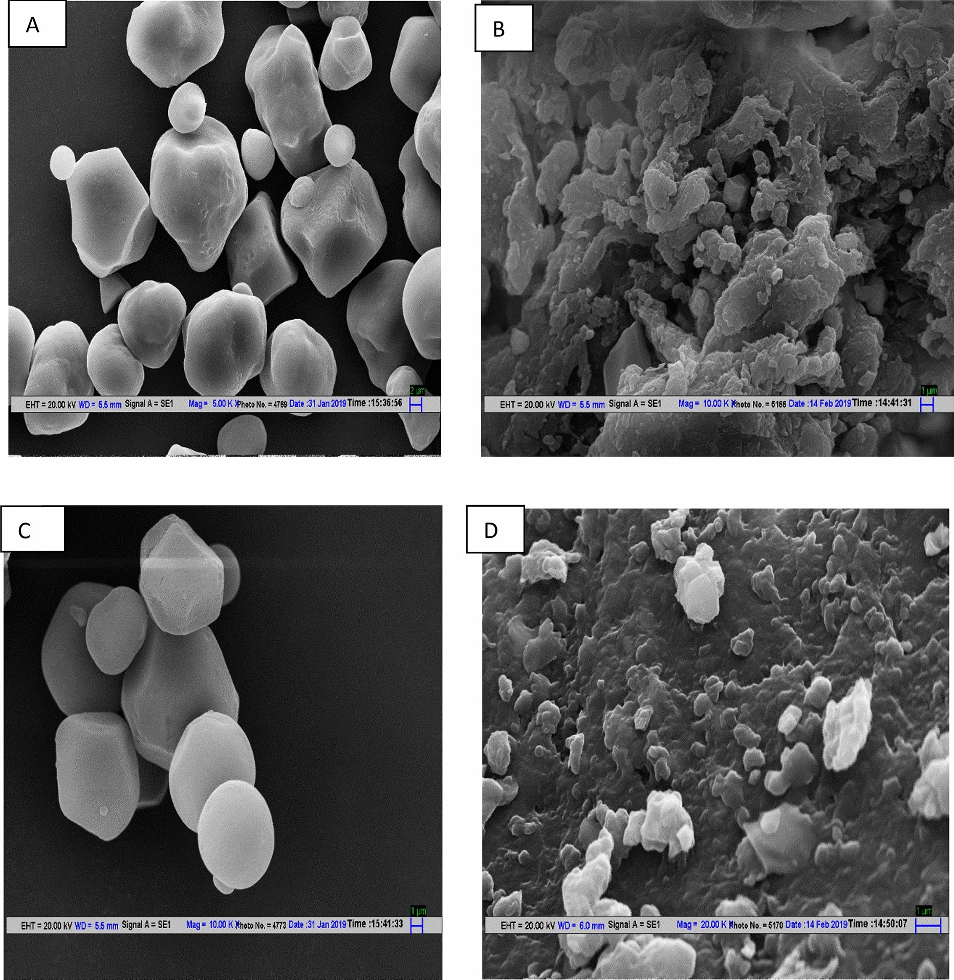 COMPARATIVE EVALUATION OF POTATO STARCH AND BANANA POWDER AS