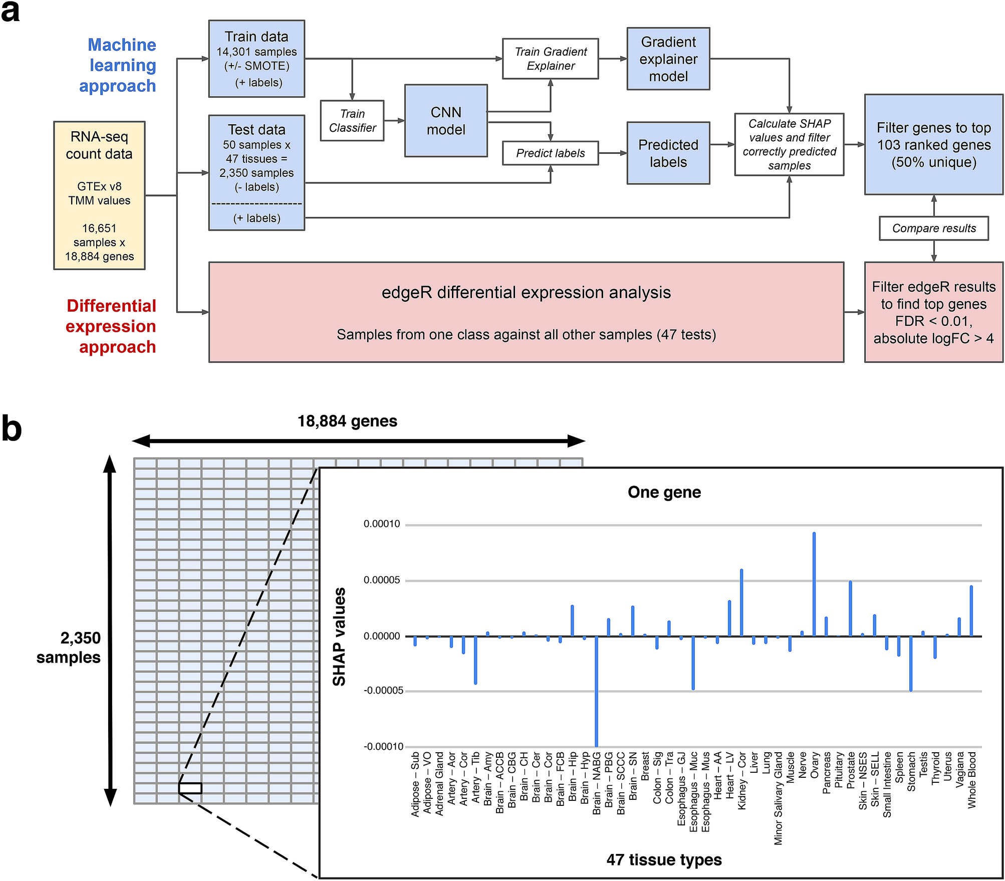 Verifying explainability of a deep learning tissue classifier ...