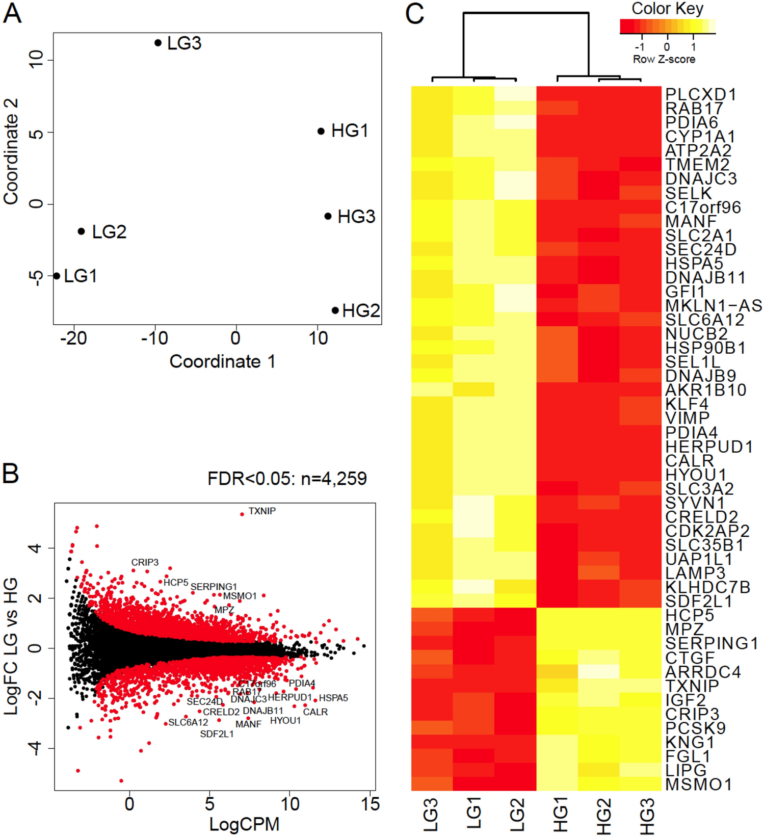 Sodium valproate and 5-aza-2′-deoxycytidine differentially modulate DNA  demethylation in G1 phase-arrested and proliferative HeLa cells