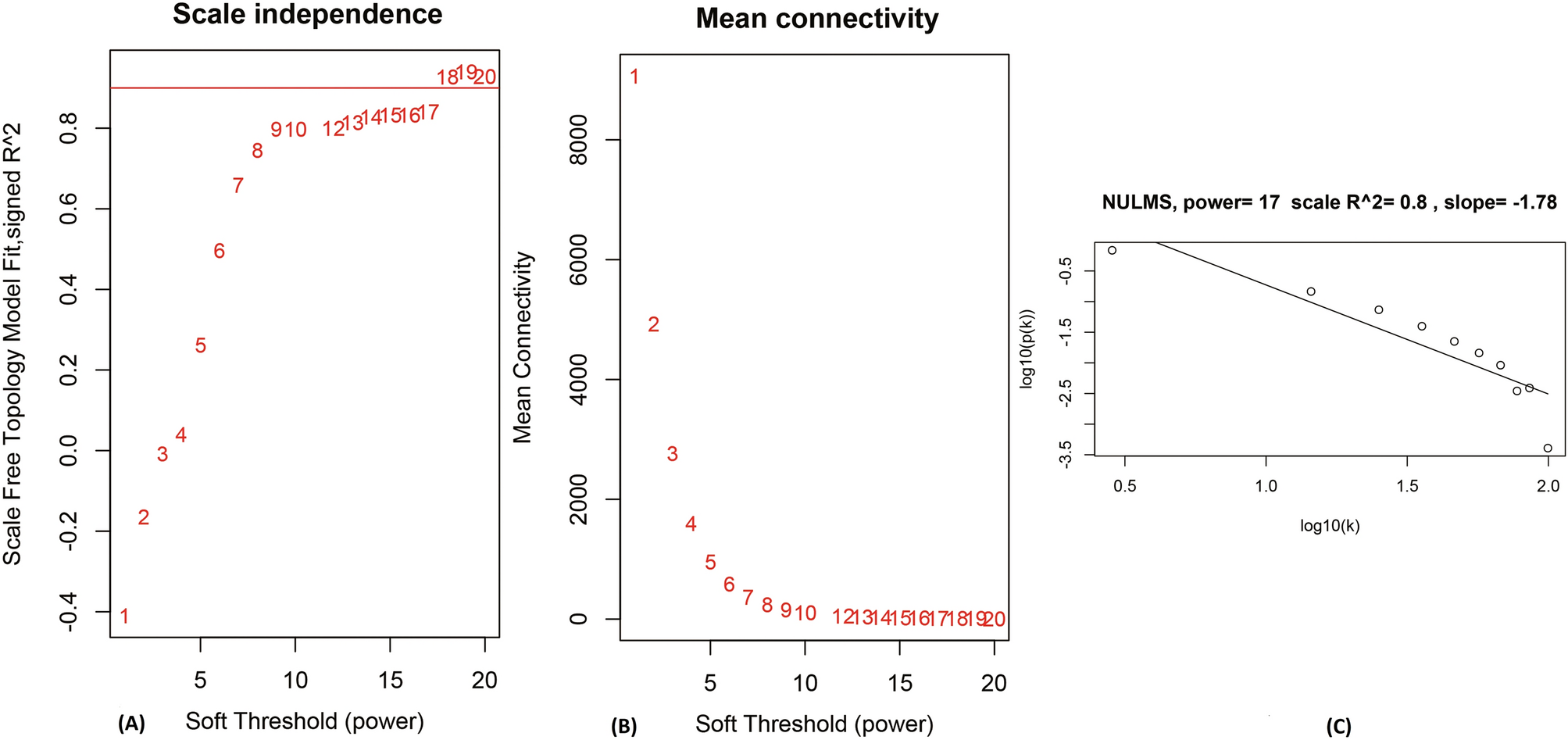 https://media.springernature.com/full/springer-static/image/art%3A10.1038%2Fs41598-021-81952-8/MediaObjects/41598_2021_81952_Fig1_HTML.png