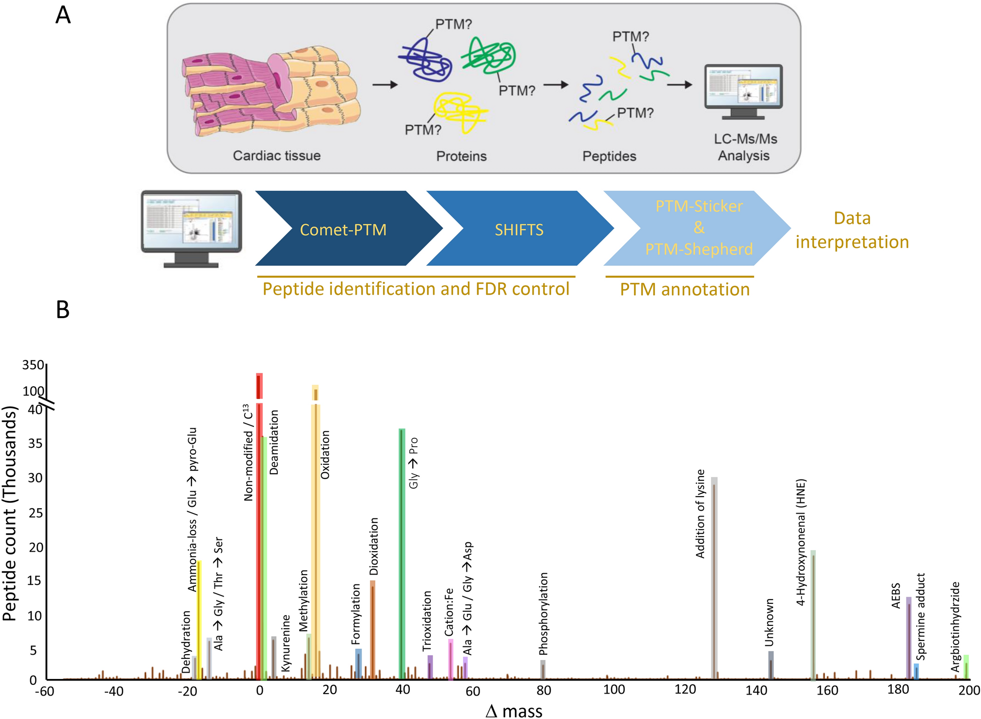 Proteome-wide profiling and mapping of post translational modifications in  human hearts | Scientific Reports