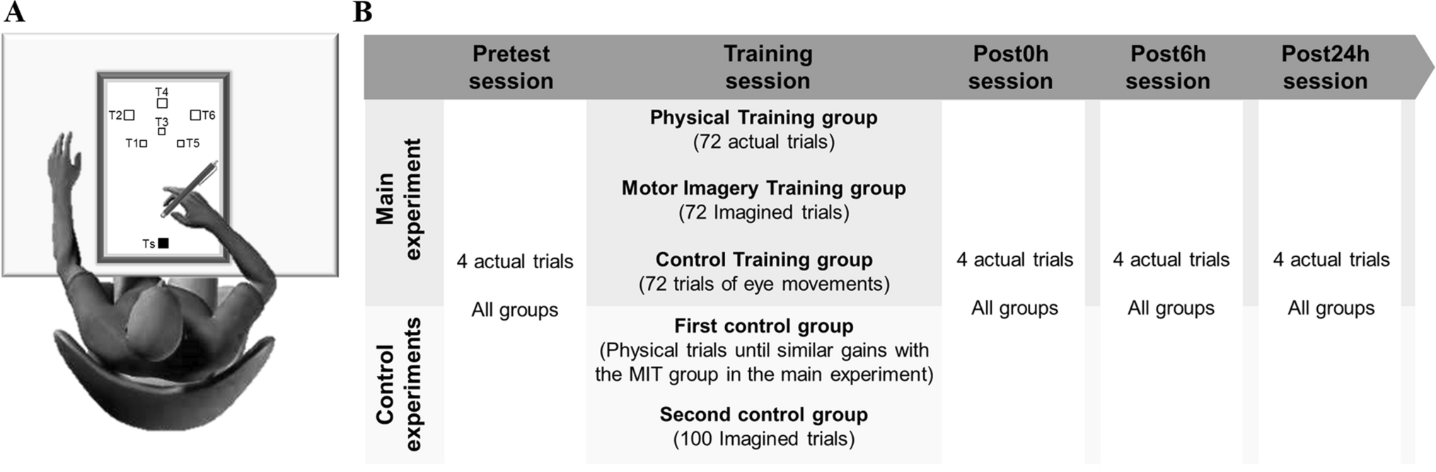 Acquisition and consolidation processes following motor imagery practice |  Scientific Reports