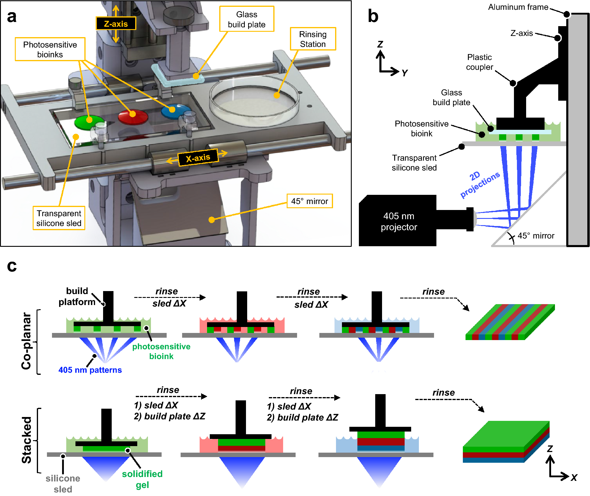 Development, characterization, and applications of multi-material  stereolithography bioprinting | Scientific Reports