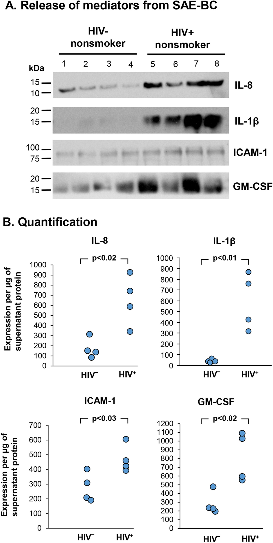 hiv induces airway basal progenitor cells to adopt an inflammatory phenotype scientific reports