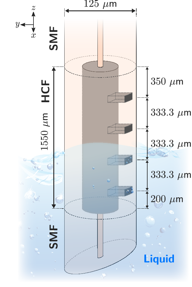 Liquid level sensor based on dynamic Fabry–Perot interferometers in  processed capillary fiber | Scientific Reports