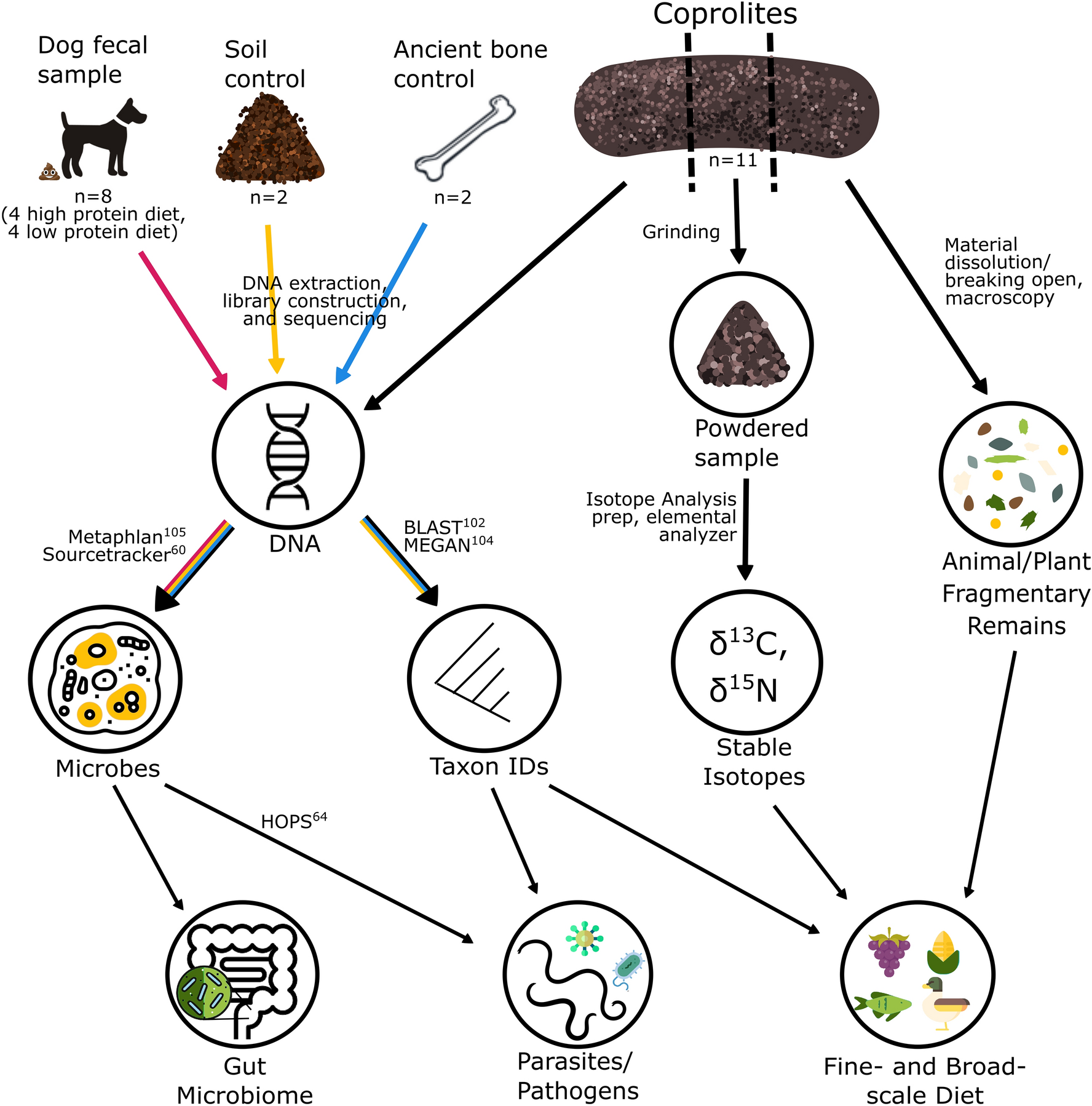 Researchers develop new method to analyze proteins in ecologically  significant moss