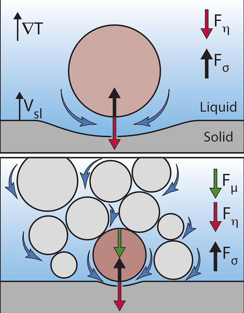 multiple objects interacting with a solidification front scientific reports