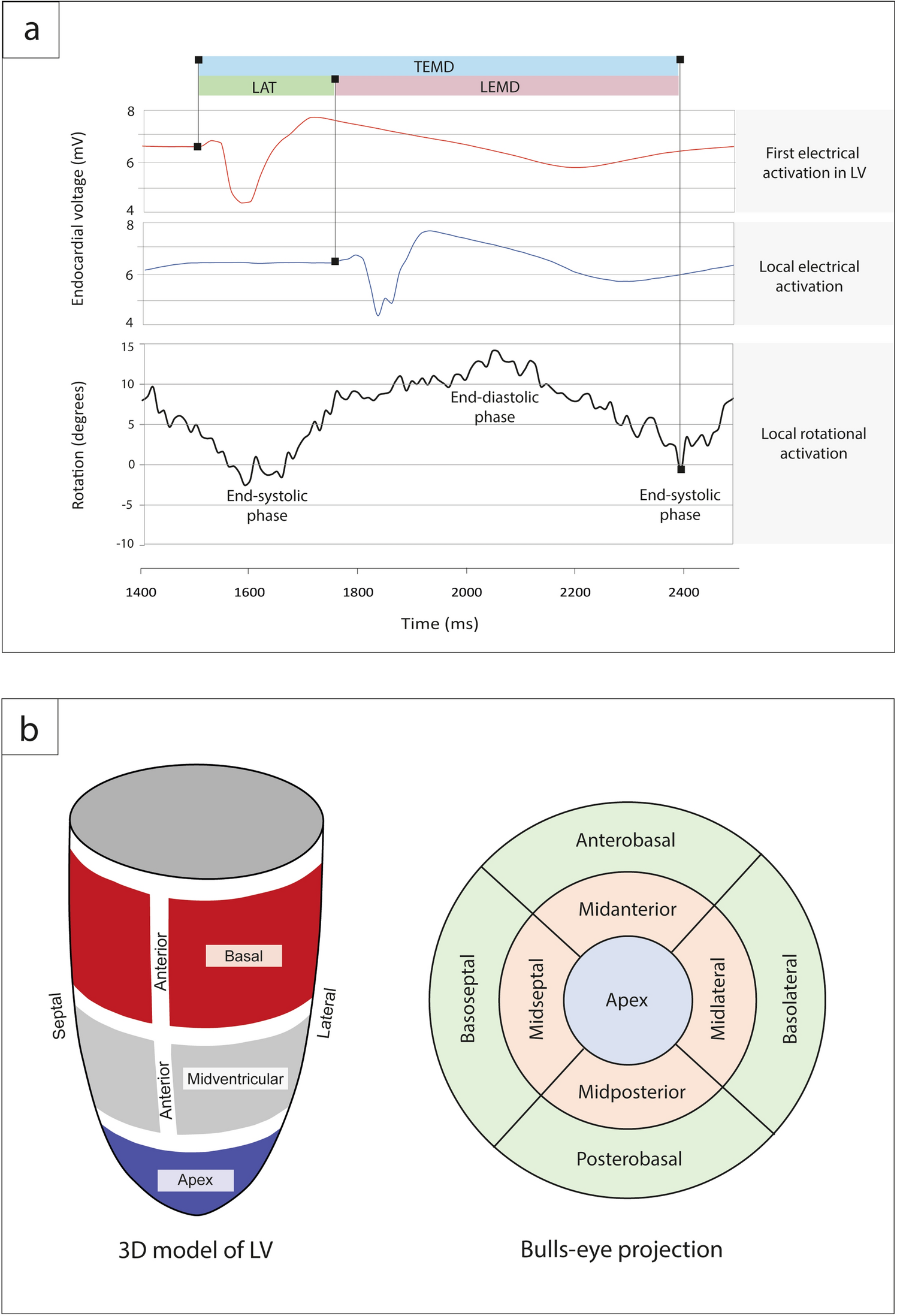 Color-coded polar diagram obtained by speckle-tracking echocardiography