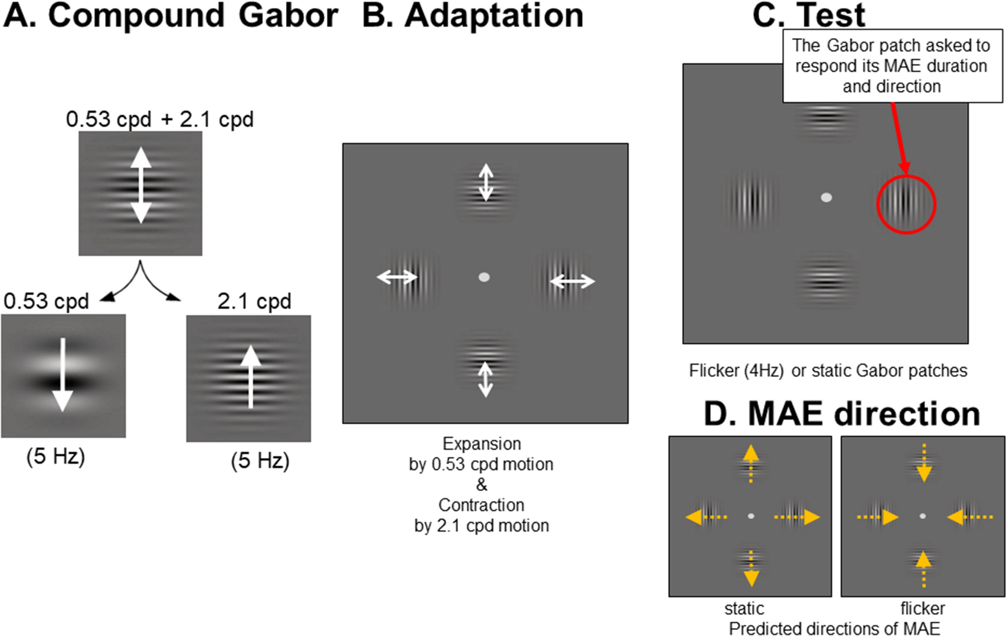 Contribution of the slow motion mechanism to global motion revealed by an  MAE technique | Scientific Reports