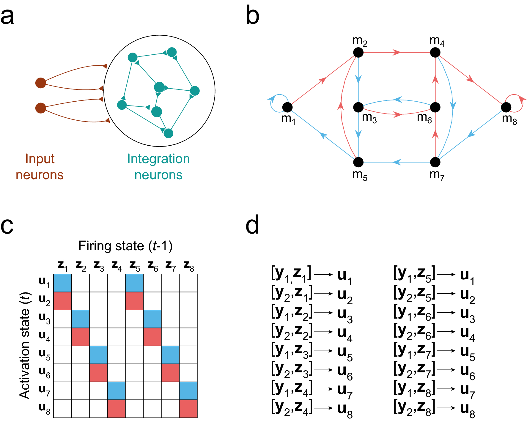 Probing the structure–function relationship with neural networks  constructed by solving a system of linear equations | Scientific Reports