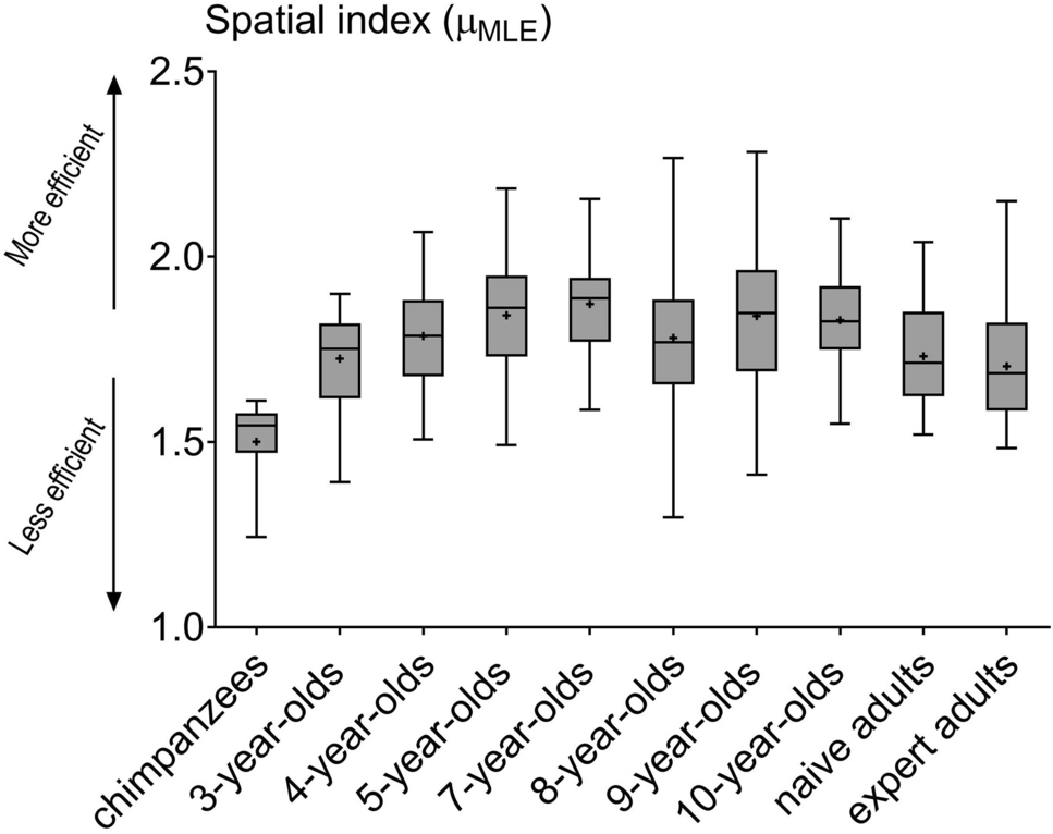 New indices to characterize drawing behavior in humans (Homo sapiens) and  chimpanzees (Pan troglodytes) | Scientific Reports