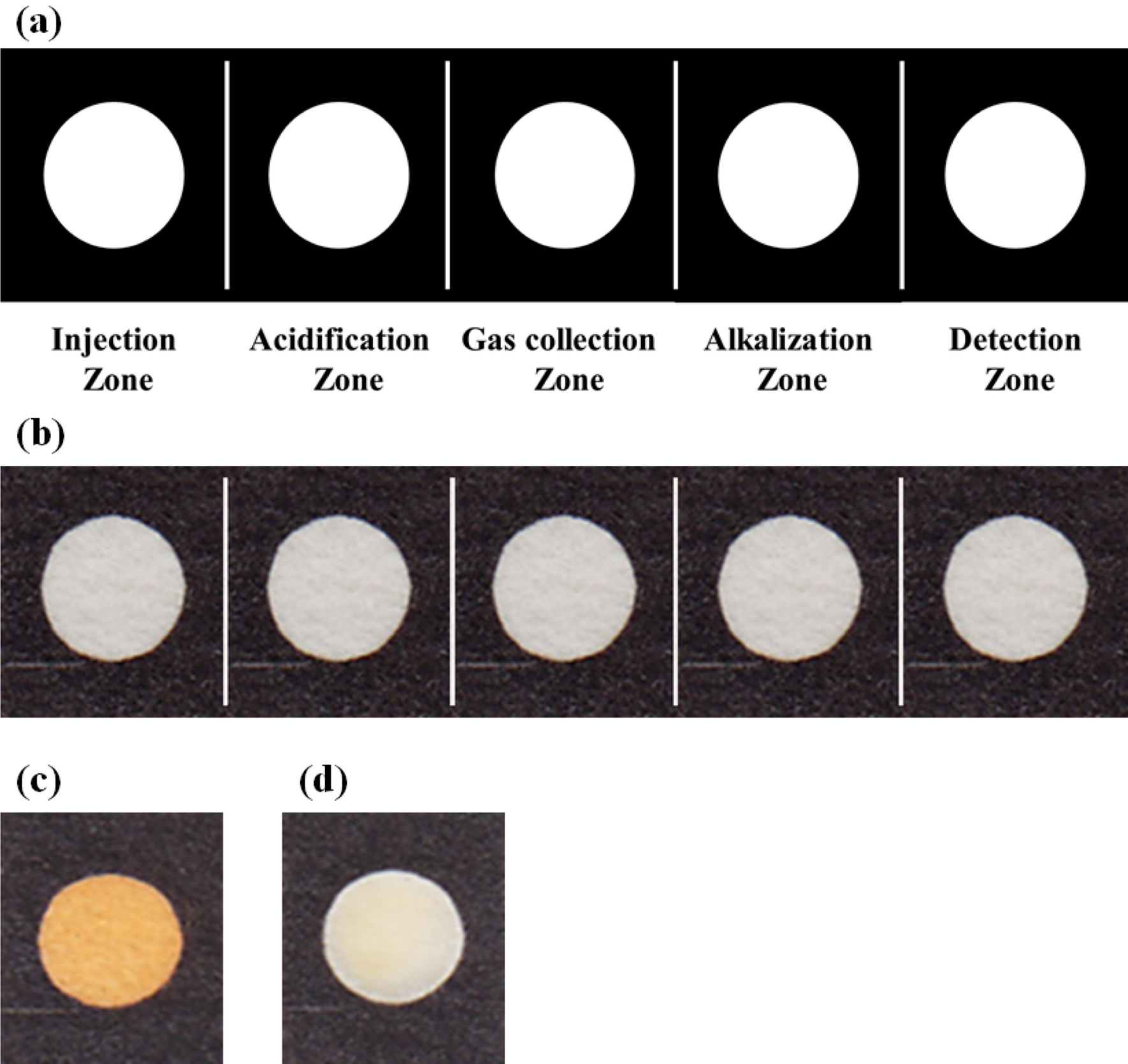 Origami paper analytical assay based on metal complex sensor for rapid  determination of blood cyanide concentration in fire survivors | Scientific  Reports