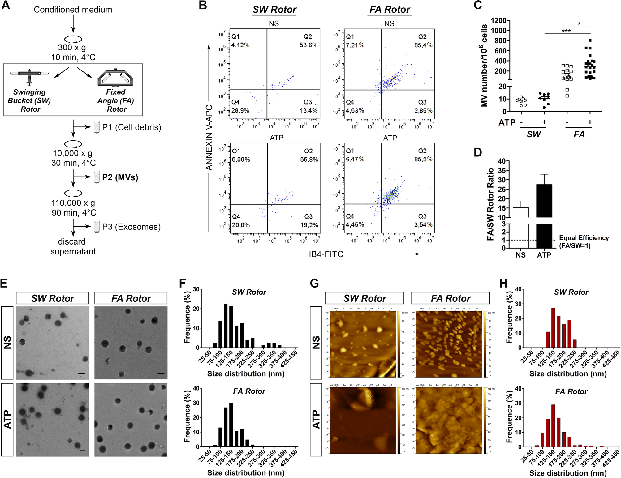 Comprehensive isolation of extracellular vesicles and