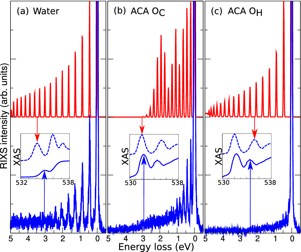 Vibrational Resonant Inelastic X Ray Scattering In Liquid Acetic Acid A Ruler For Molecular Chain Lengths Scientific Reports