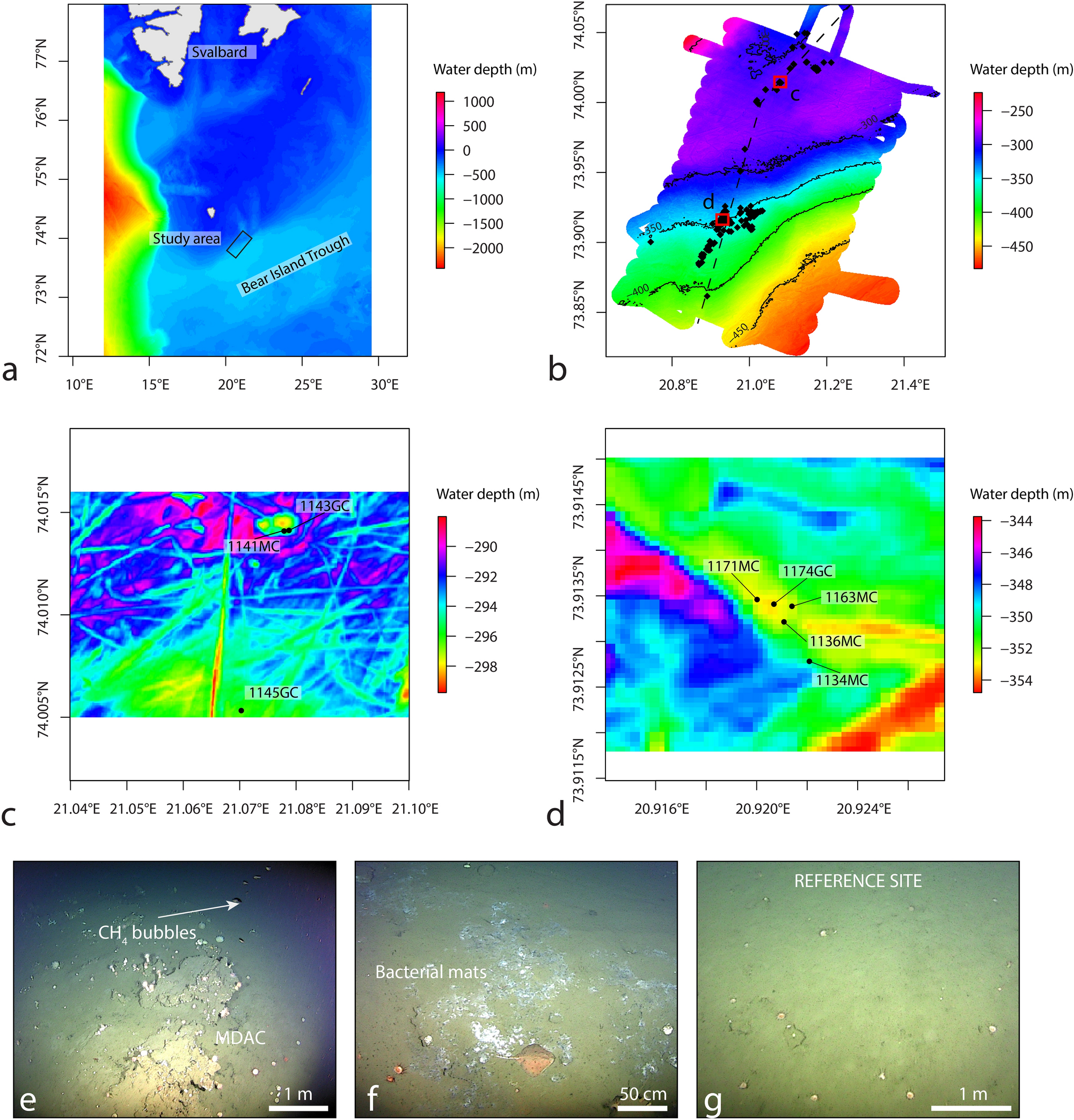 Dynamic and history of methane seepage in the SW Barents Sea: new insights  from Leirdjupet Fault Complex | Scientific Reports