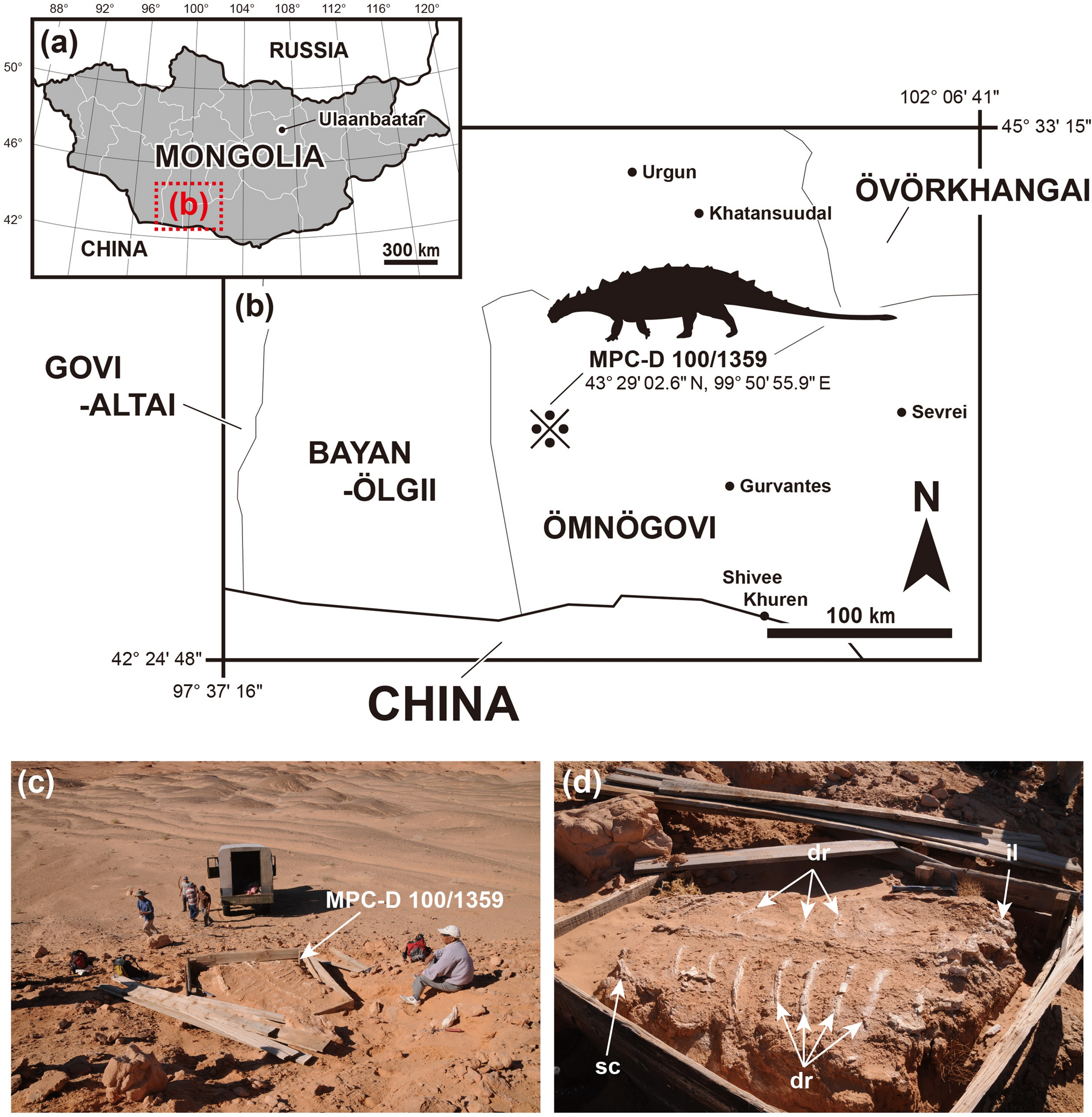 Figure 1 of Park et al. (2021, Scientific Reports): articulated skeleton MPC-D 100/1359 from the Baruungoyot Formation, comparative context for the Pinacosaurus postcranium.