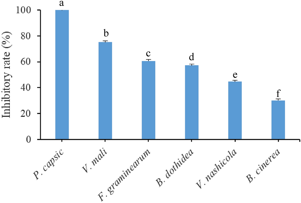 Anti Fungal Activity Of Moso Bamboo Phyllostachys Pubescens Leaf Extract And Its Development Into A Botanical Fungicide To Control Pepper Phytophthora Blight Scientific Reports