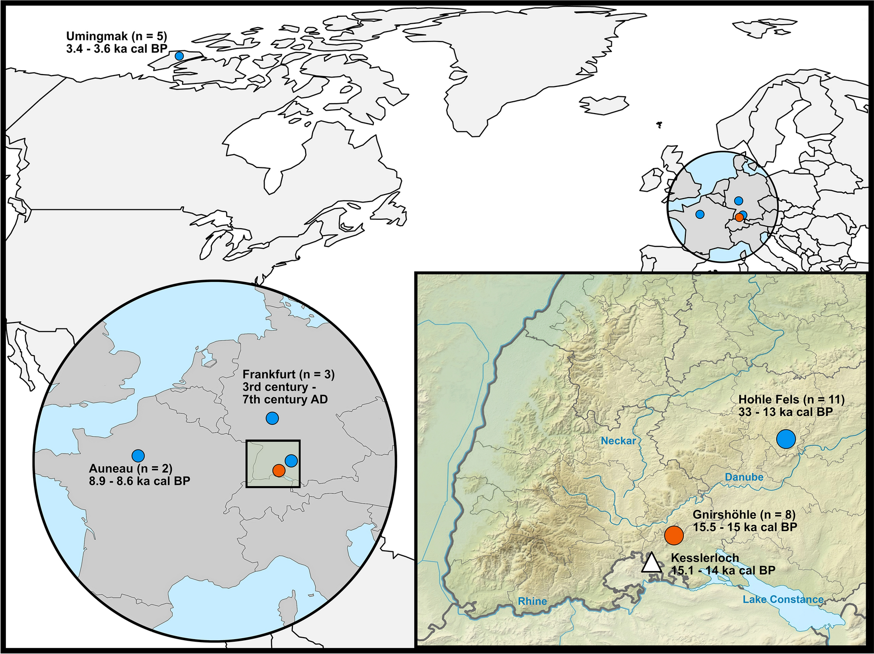A refined proposal for the origin of dogs: the case study of Gnirshöhle, a  Magdalenian cave site | Scientific Reports