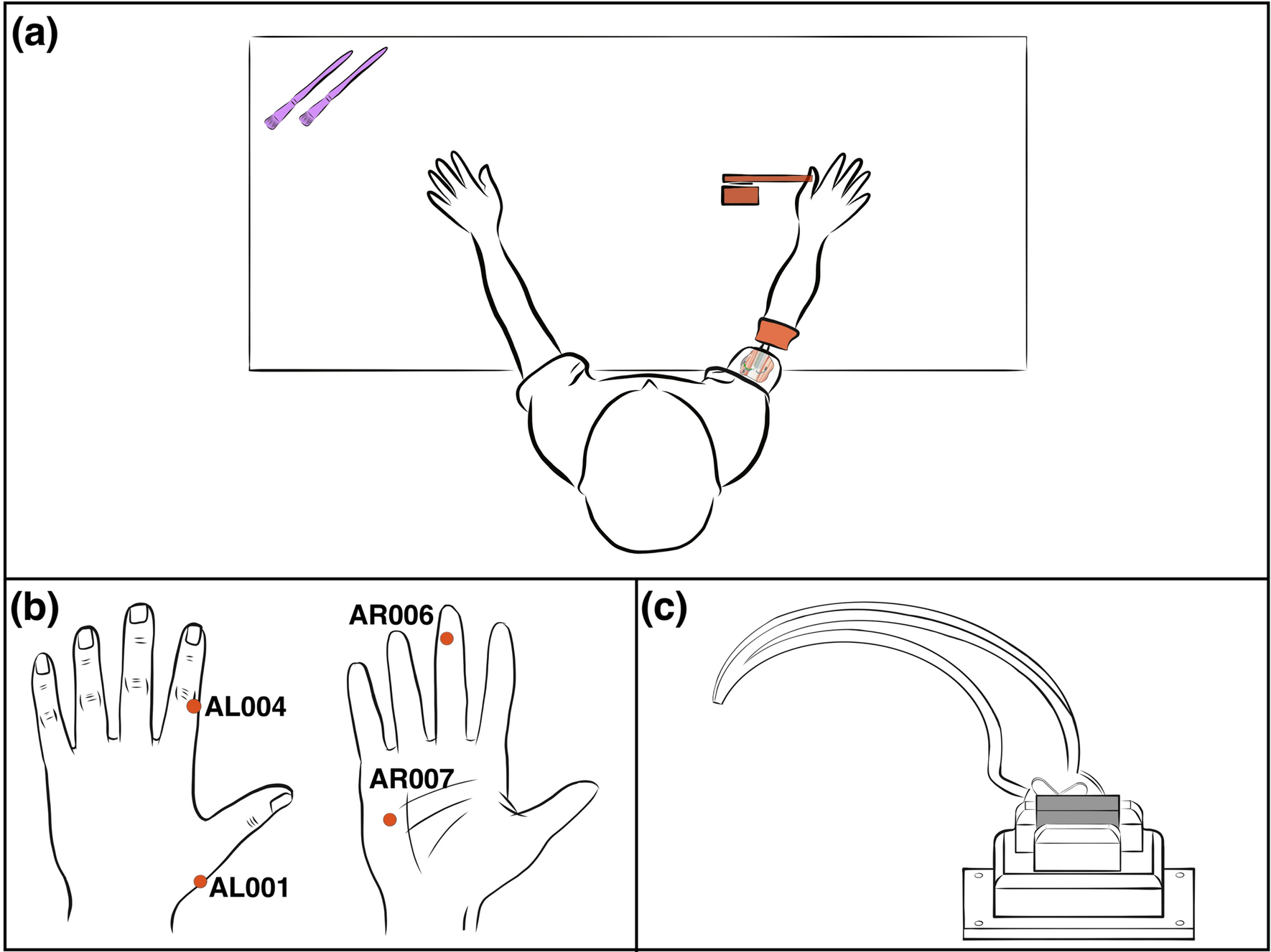 The rubber hand illusion is a fallible method to study ownership of  prosthetic limbs | Scientific Reports