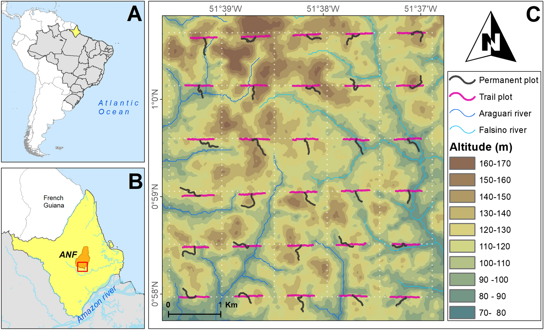 Contribution of Vouacapoua americana fruit-fall to the release of biomass  in a lowland Amazon forest | Scientific Reports