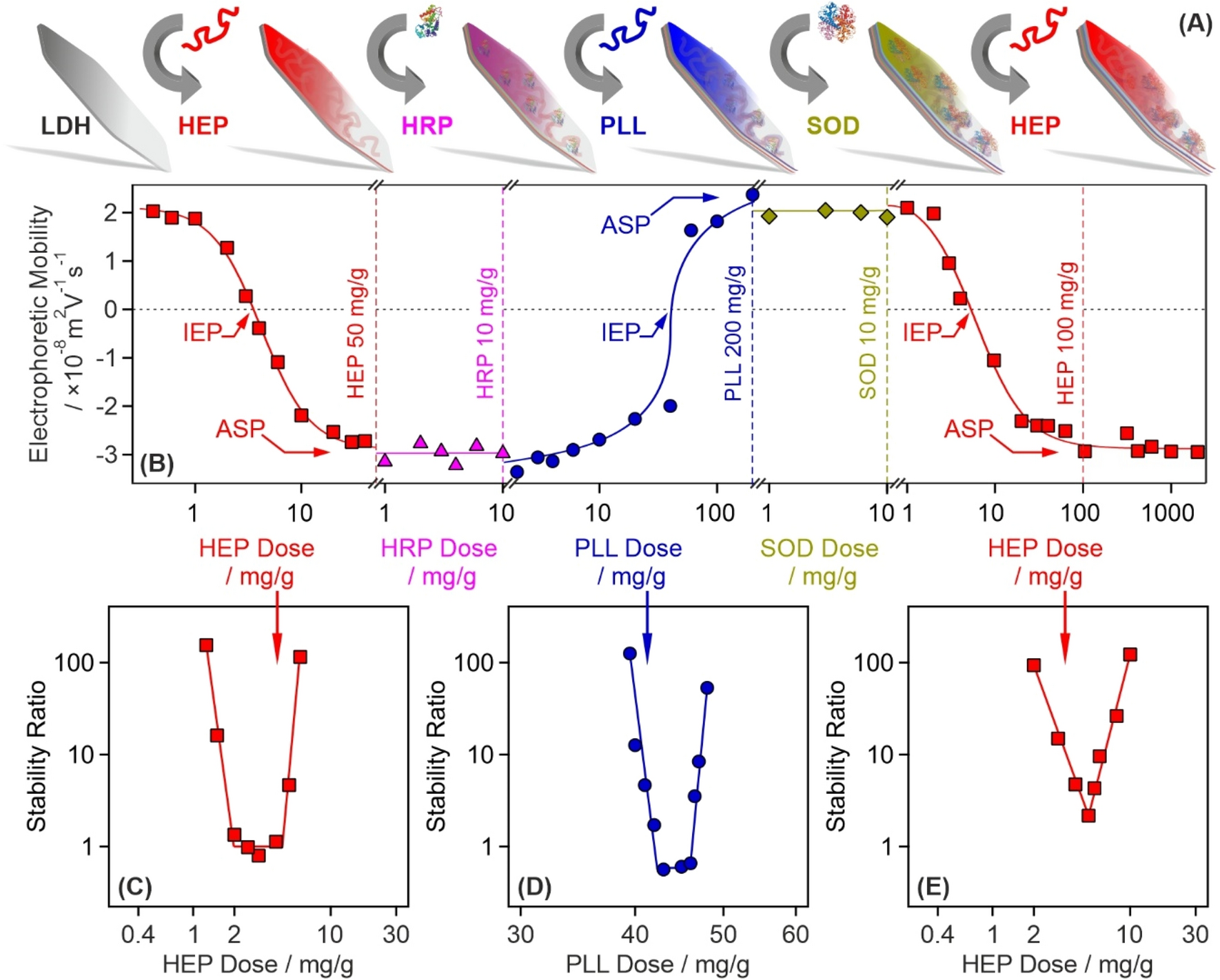 Nanocomposite Based Dual Enzyme System For Broad Spectrum Scavenging Of Reactive Oxygen Species Scientific Reports Nanocomposite Based Dual Enzyme System For Broad Spectrum Scavenging Of Reactive Oxygen Species Scientific Reports
