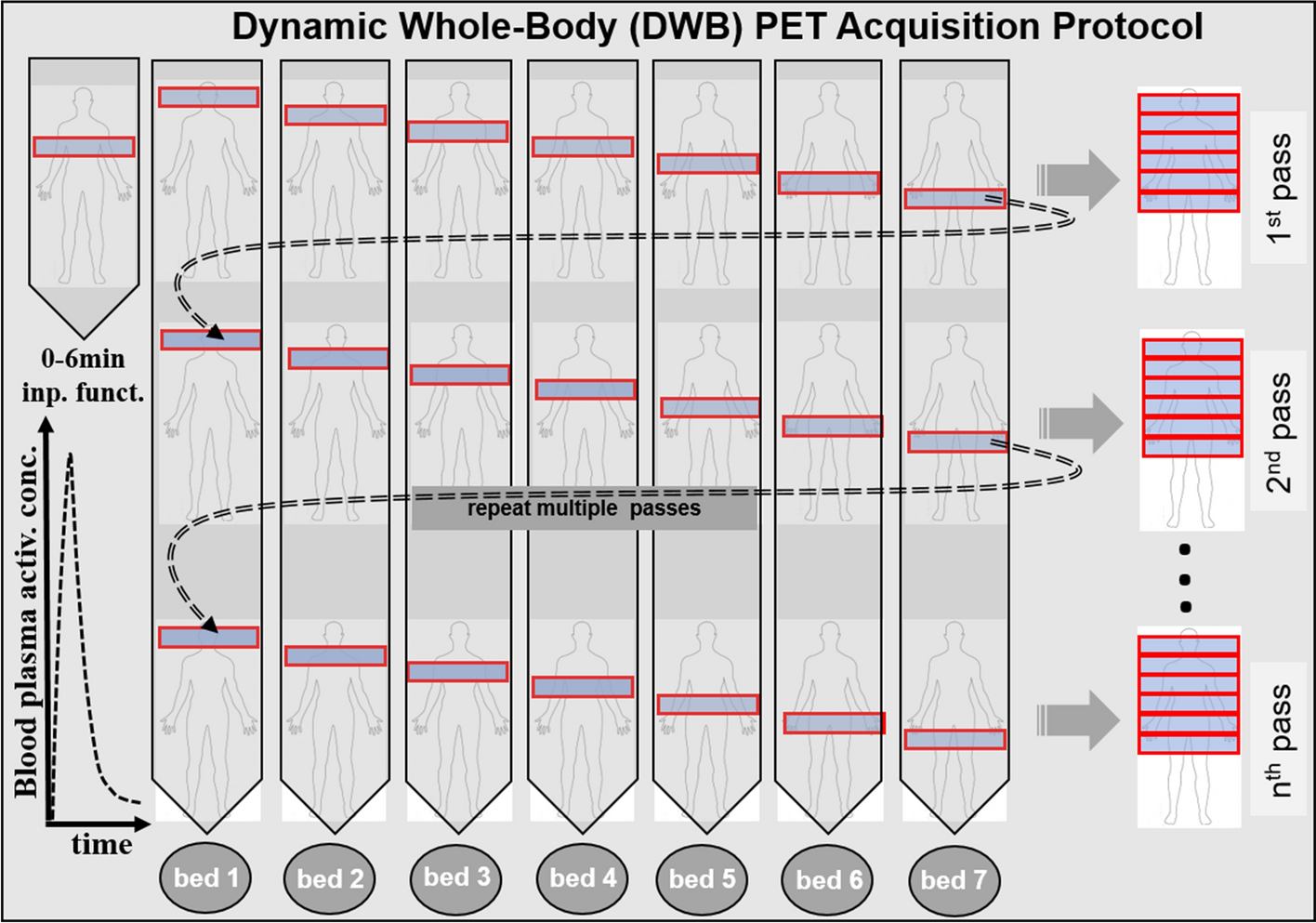 Prospective Study Of Dynamic Whole Body 68ga Dotatoc Pet Ct Acquisition In Patients With Well Differentiated Neuroendocrine Tumors Scientific Reports