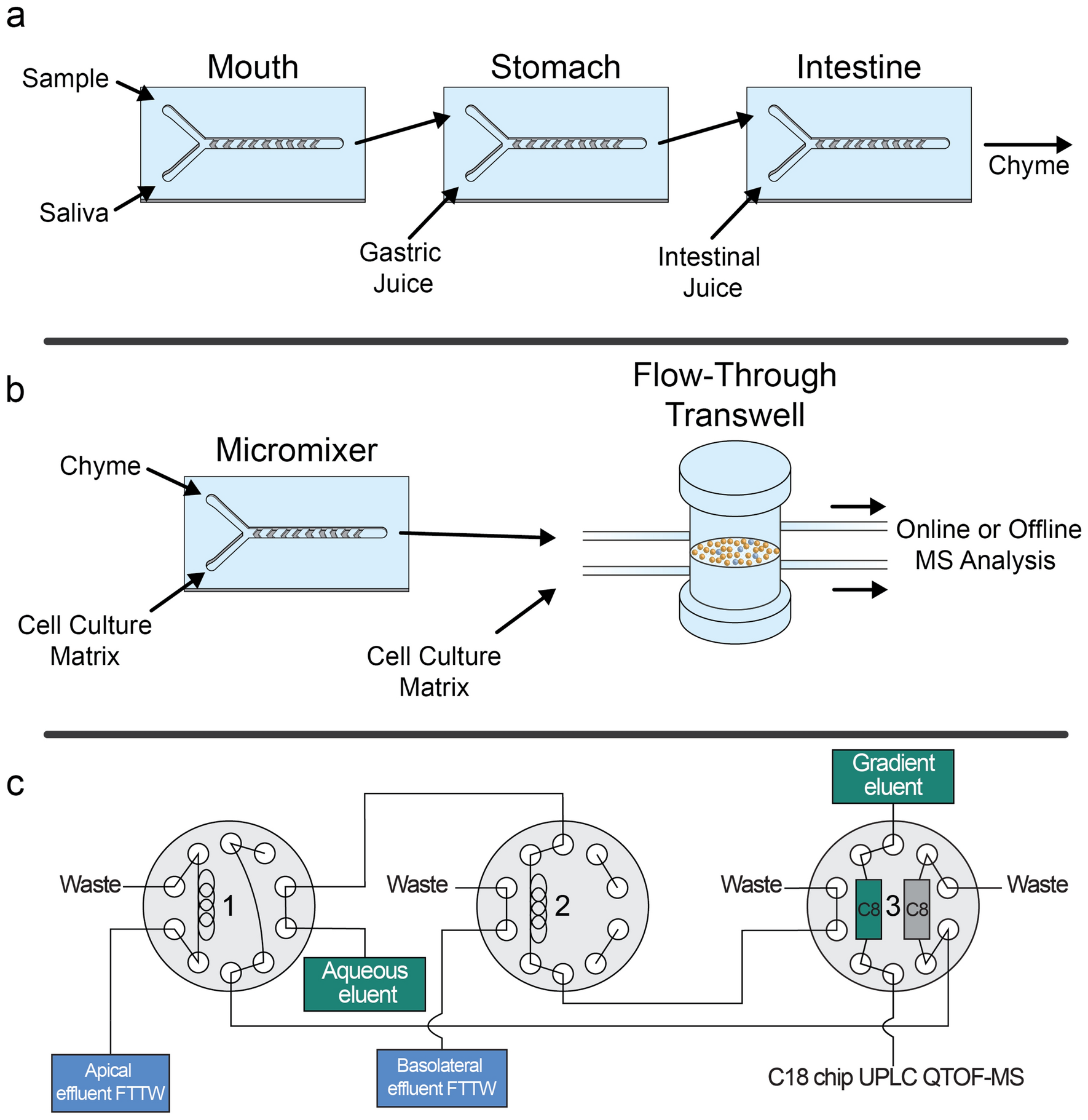 A Versatile Compartmentalised Gut On A Chip System For Pharmacological And Toxicological Analyses Scientific Reports