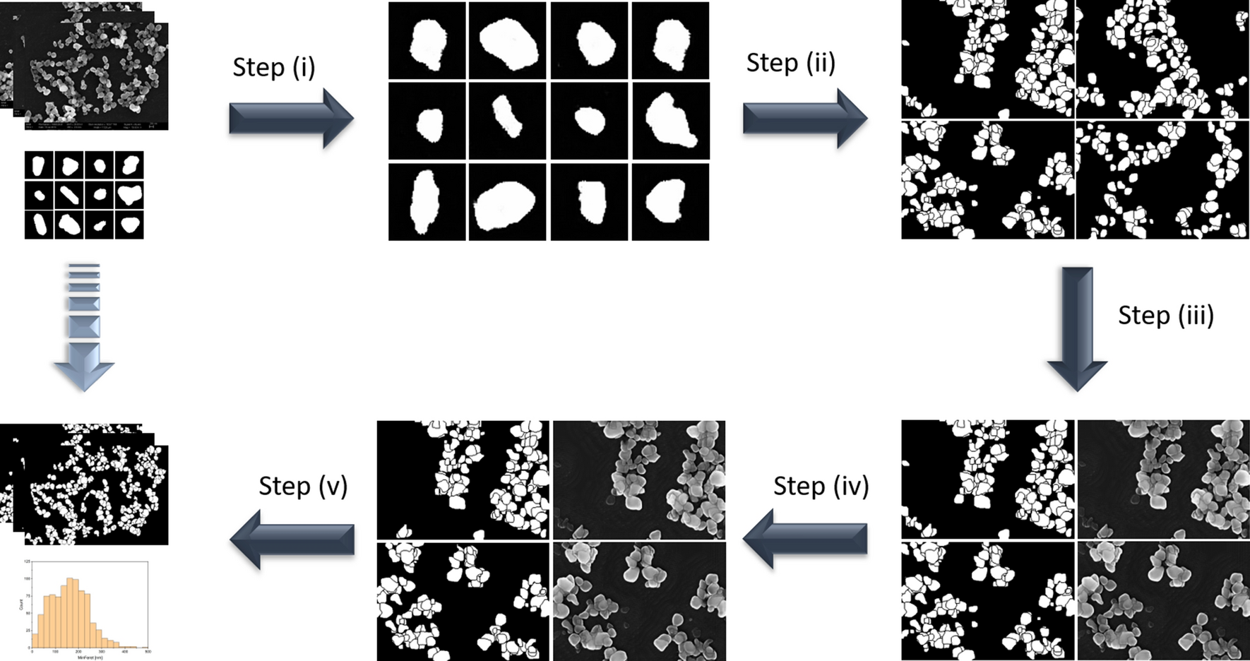 how to calculate particle distribution in imagej software how to calculate particle distribution in imagej software